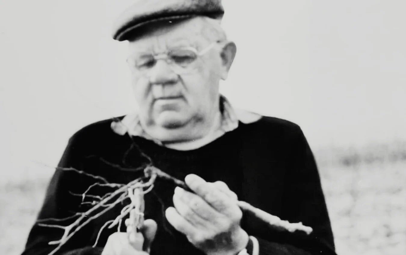 Champagne Thierry Massin producer agent us importer highnote wines.jpg