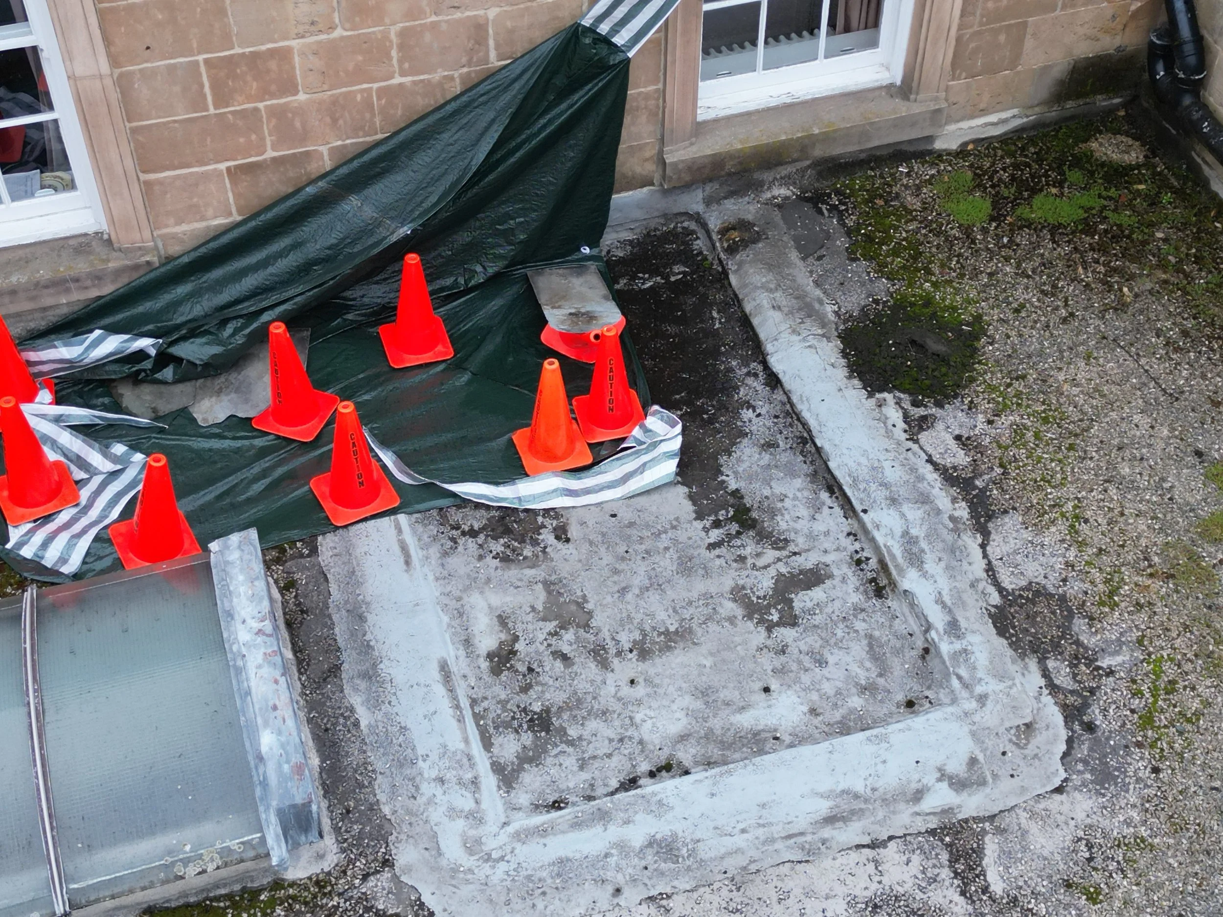 Outdoor scene showing a brick wall, a small window, and a garden area with moss and dirt. There are five orange traffic cones placed on a tarp covering a section of the ground, with some concrete slabs and mossy patches visible.