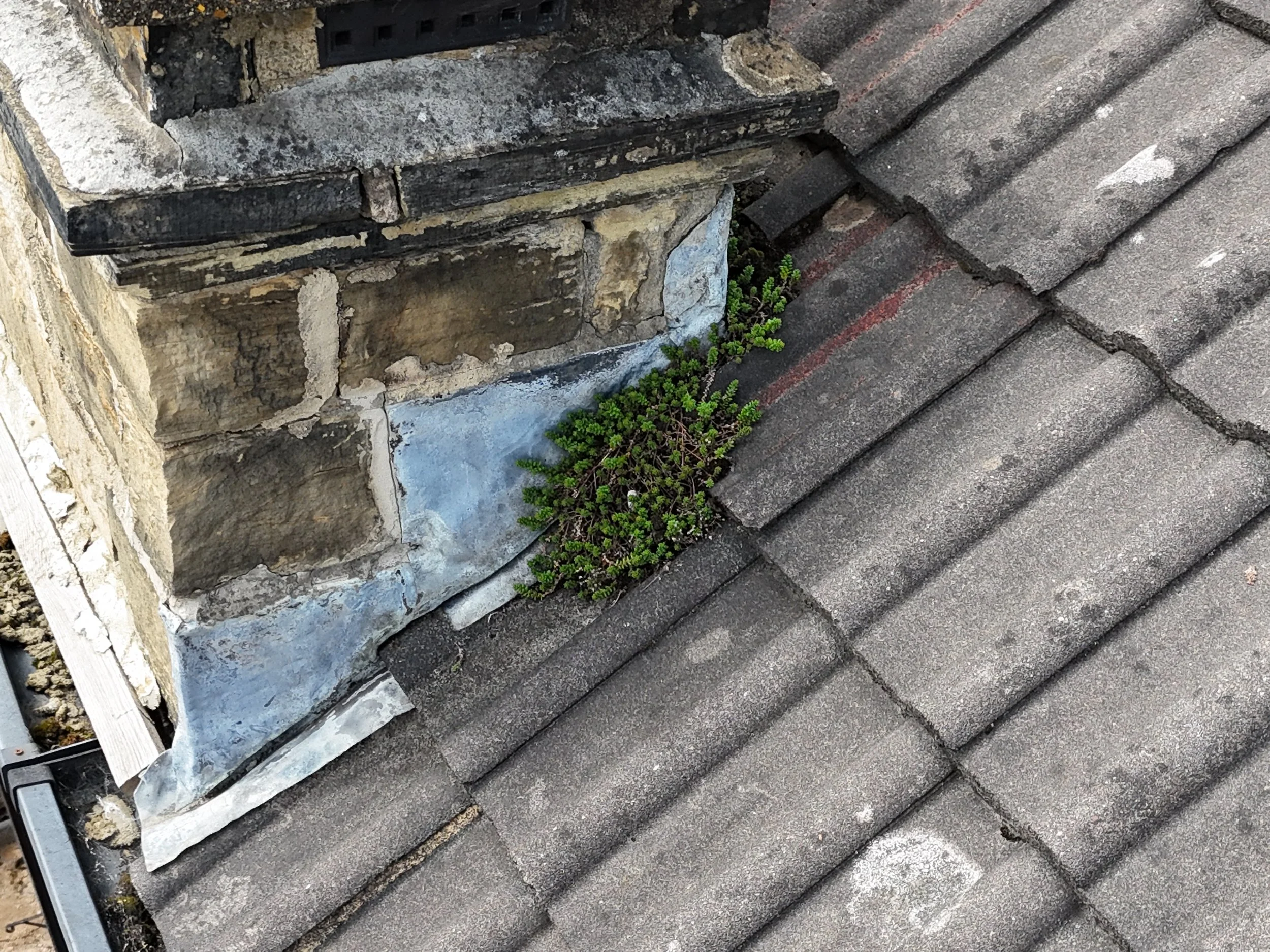 blocked chimney flashings have lead to water ingress