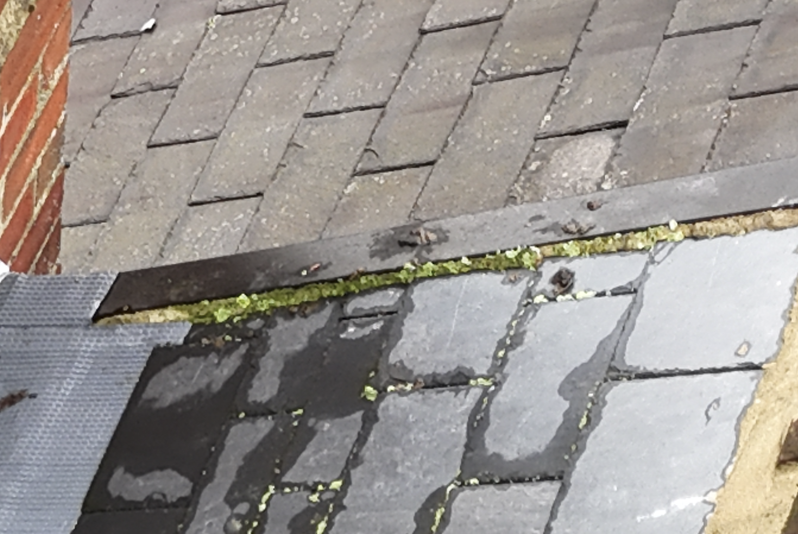Close-up of brick and stone pavement with moss growing between the bricks and stones