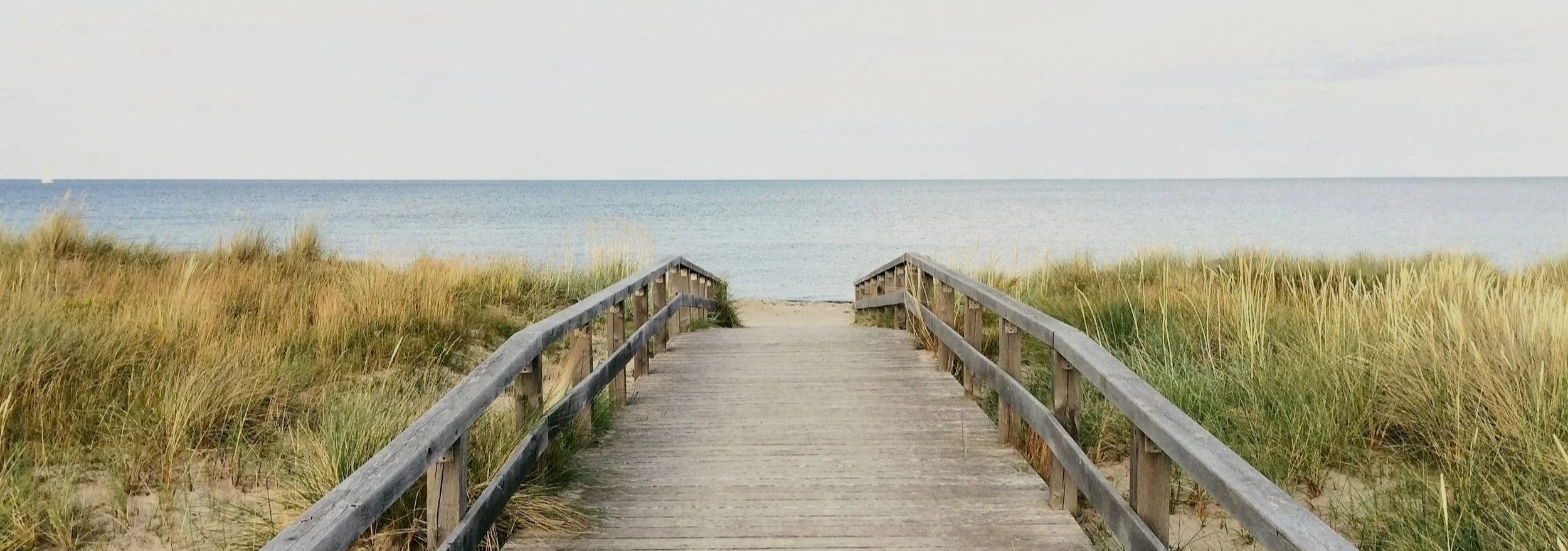 Wooden boardwalk leading to a beach with sand dunes and tall grass on either side and the ocean in the background.