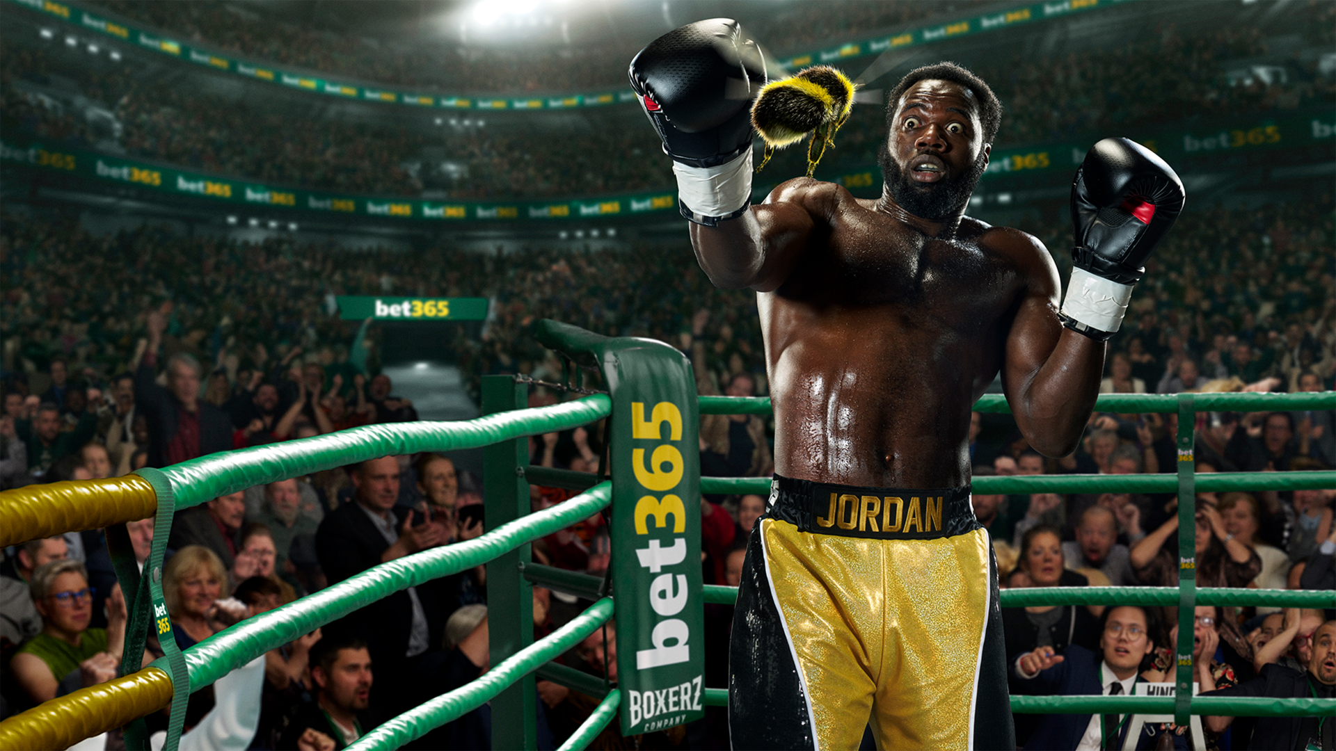 bet365-Boxing.png
