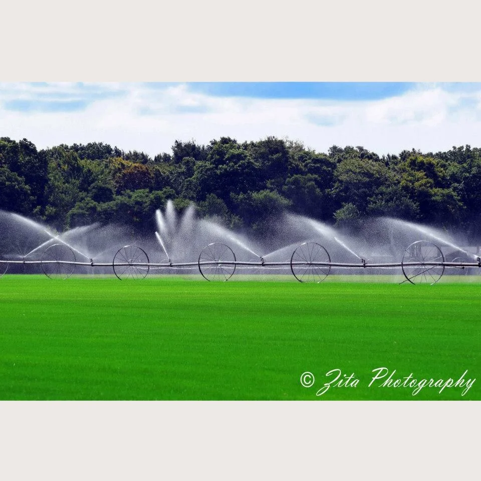 Farm Water Sprinklers Photograph