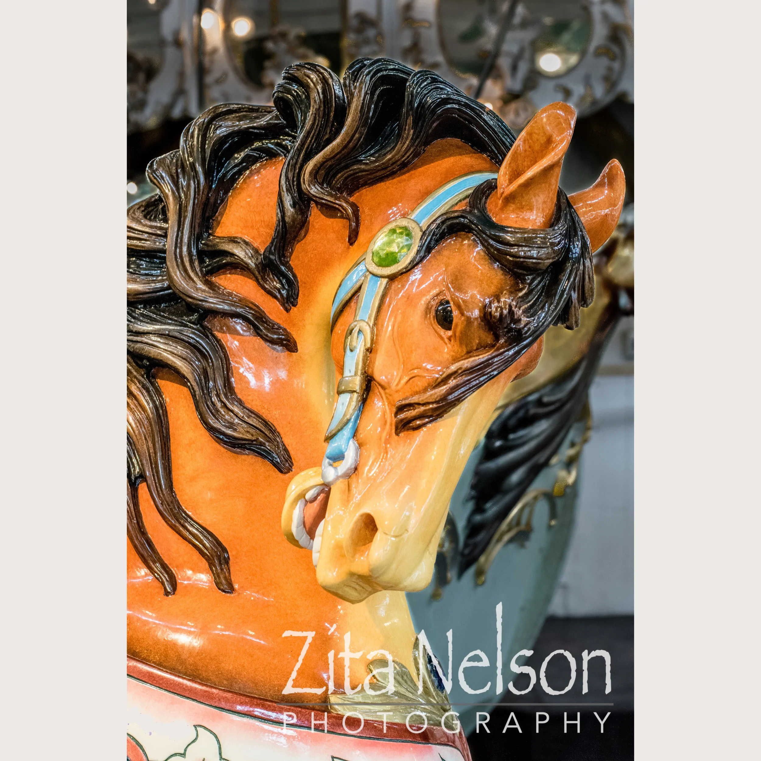 Carousel Horse Photograph