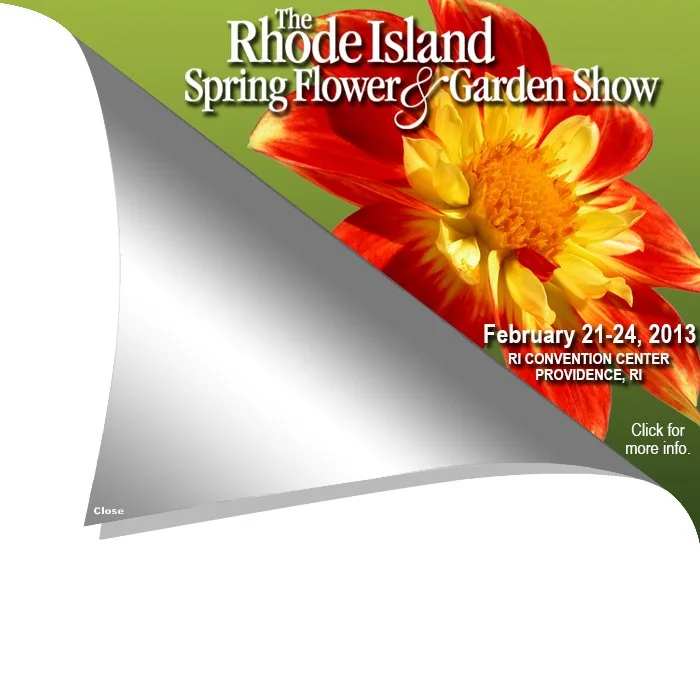 RI Flower Show Corner Peel
