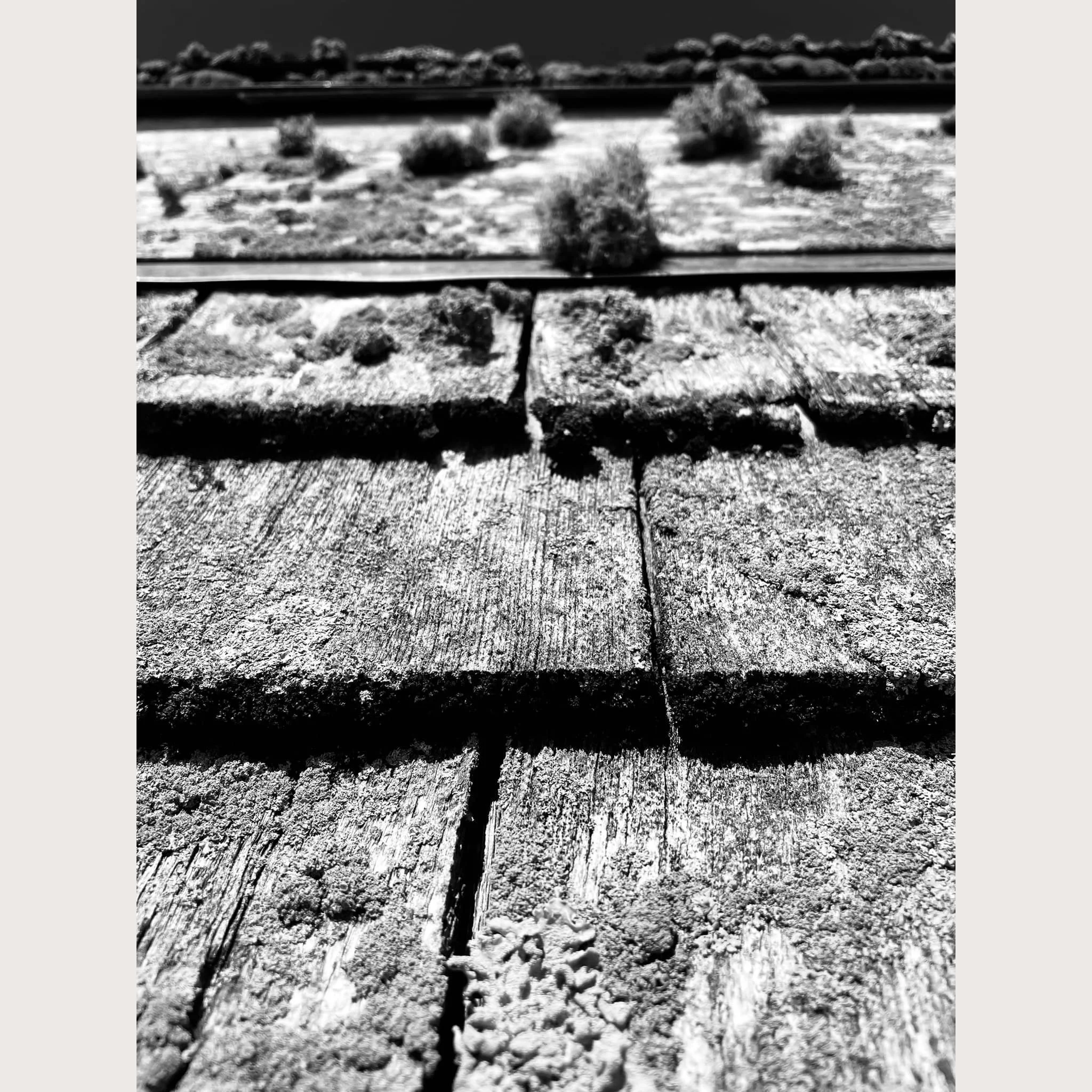 Abstract photo of shingles on a watershed