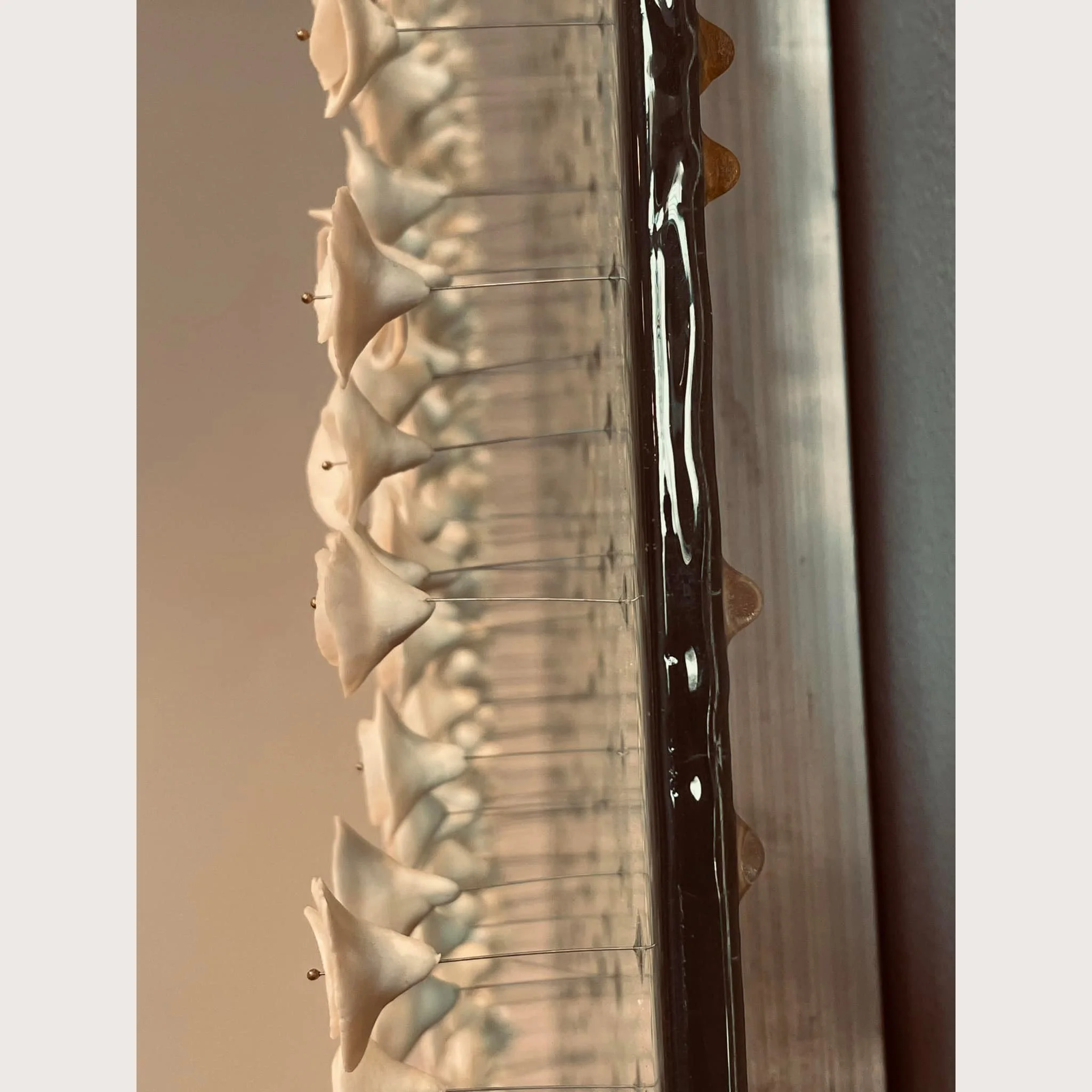 Abstract photo of an art piece