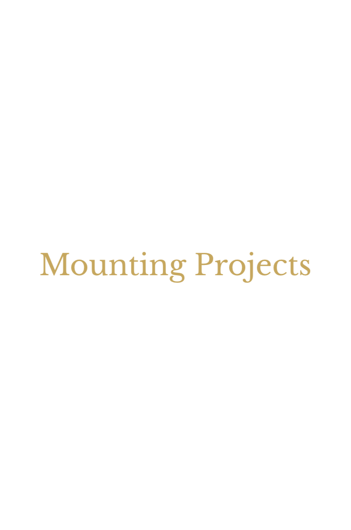 Mounting Projects.png