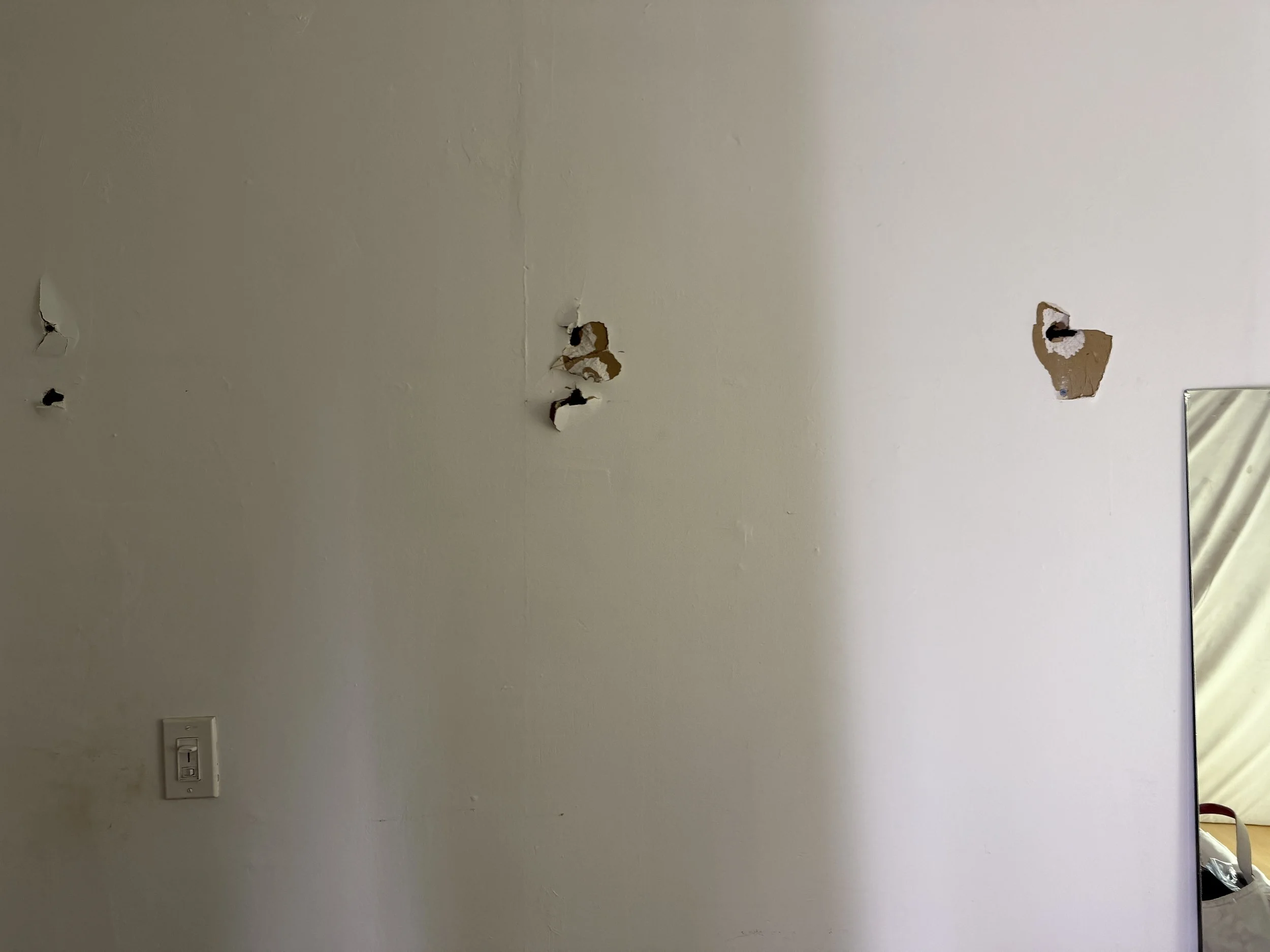 Drywall Repair