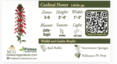 What Makes you Buy a Plant? 