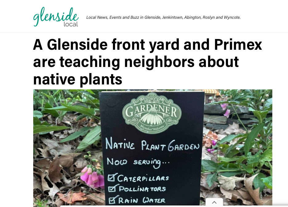 Glenside Local Feature on The Mediocre Gardener