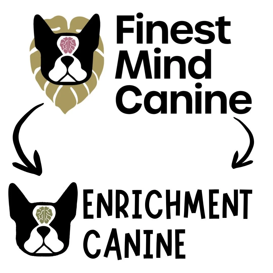 More dog training content headed your way!

Follow @enrichmentcanine for more dog behavior &amp; training knowledge! Stick around here to see feel-good dog content 😊

#dogsofinstagram #dogtraining #dogsplaying