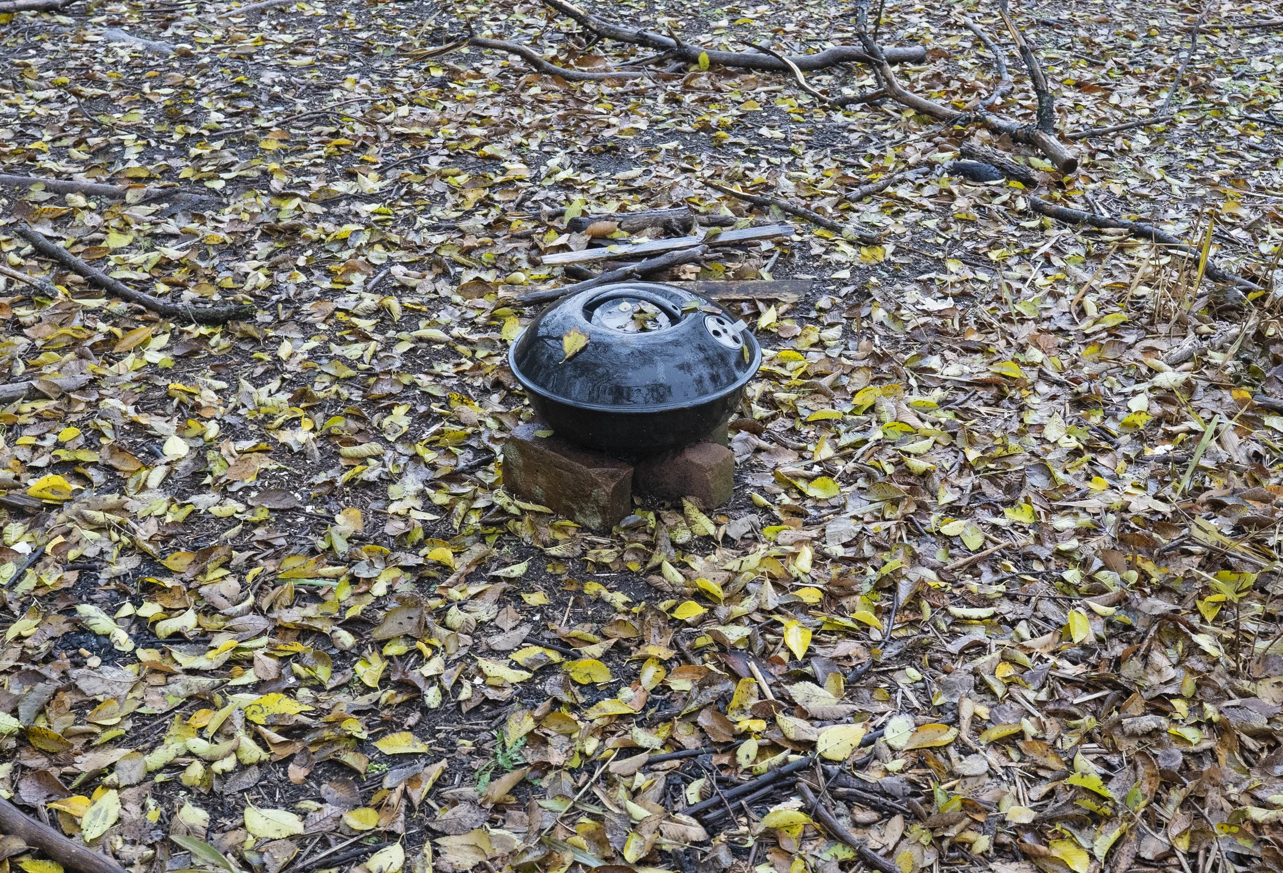 DSC01365.jpg
