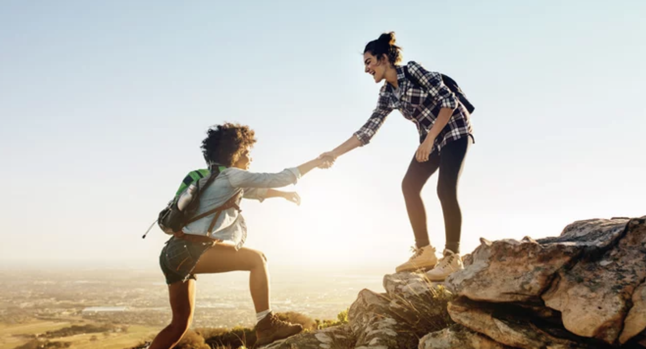 Partnership & platform development