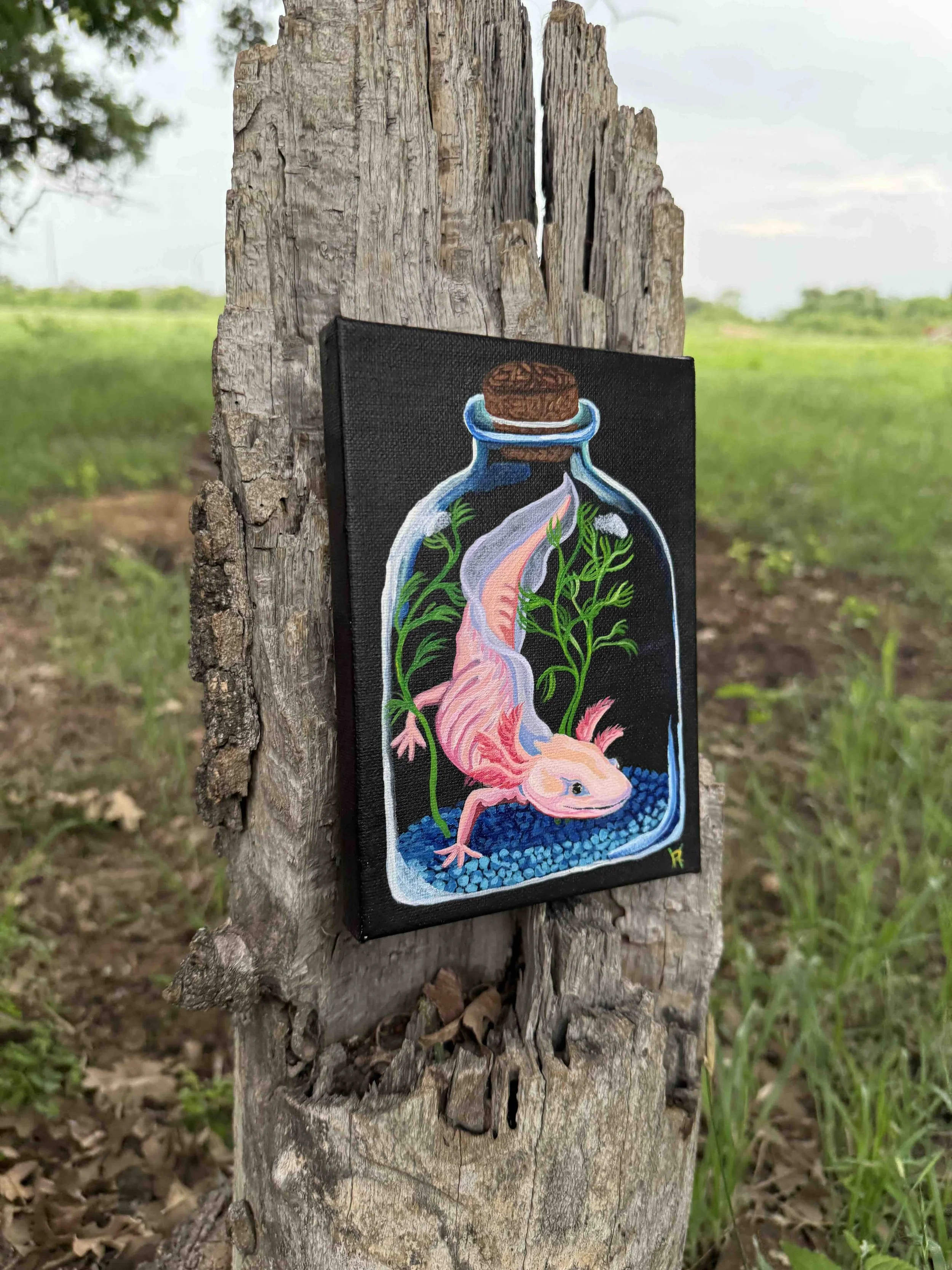 Axolotl2.jpg