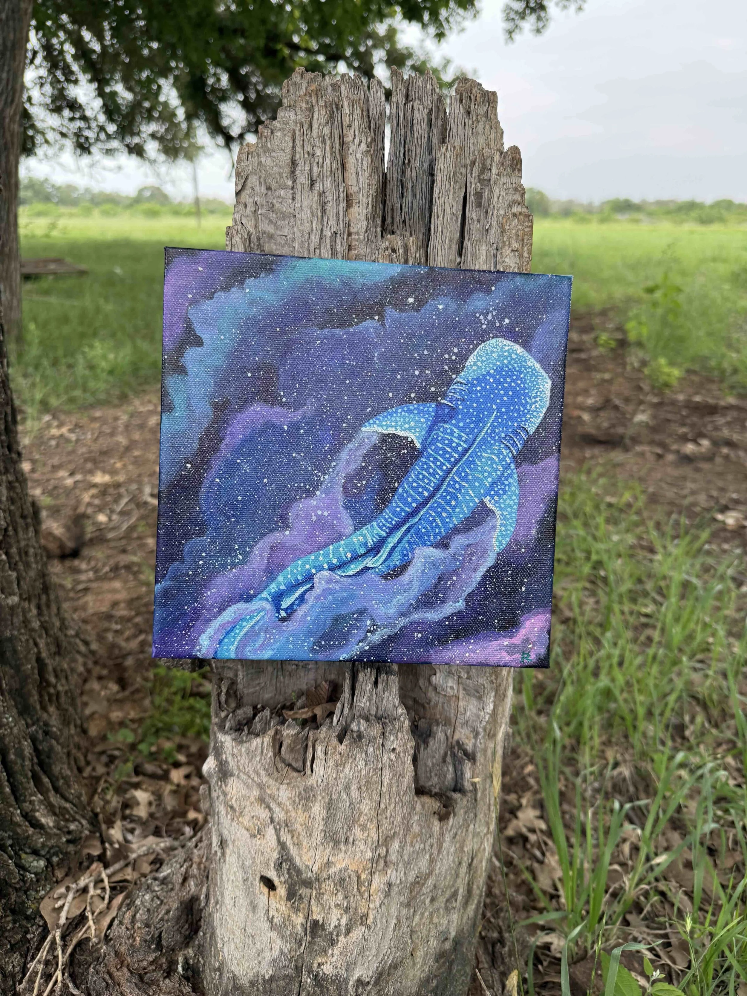 Whale 1.jpg