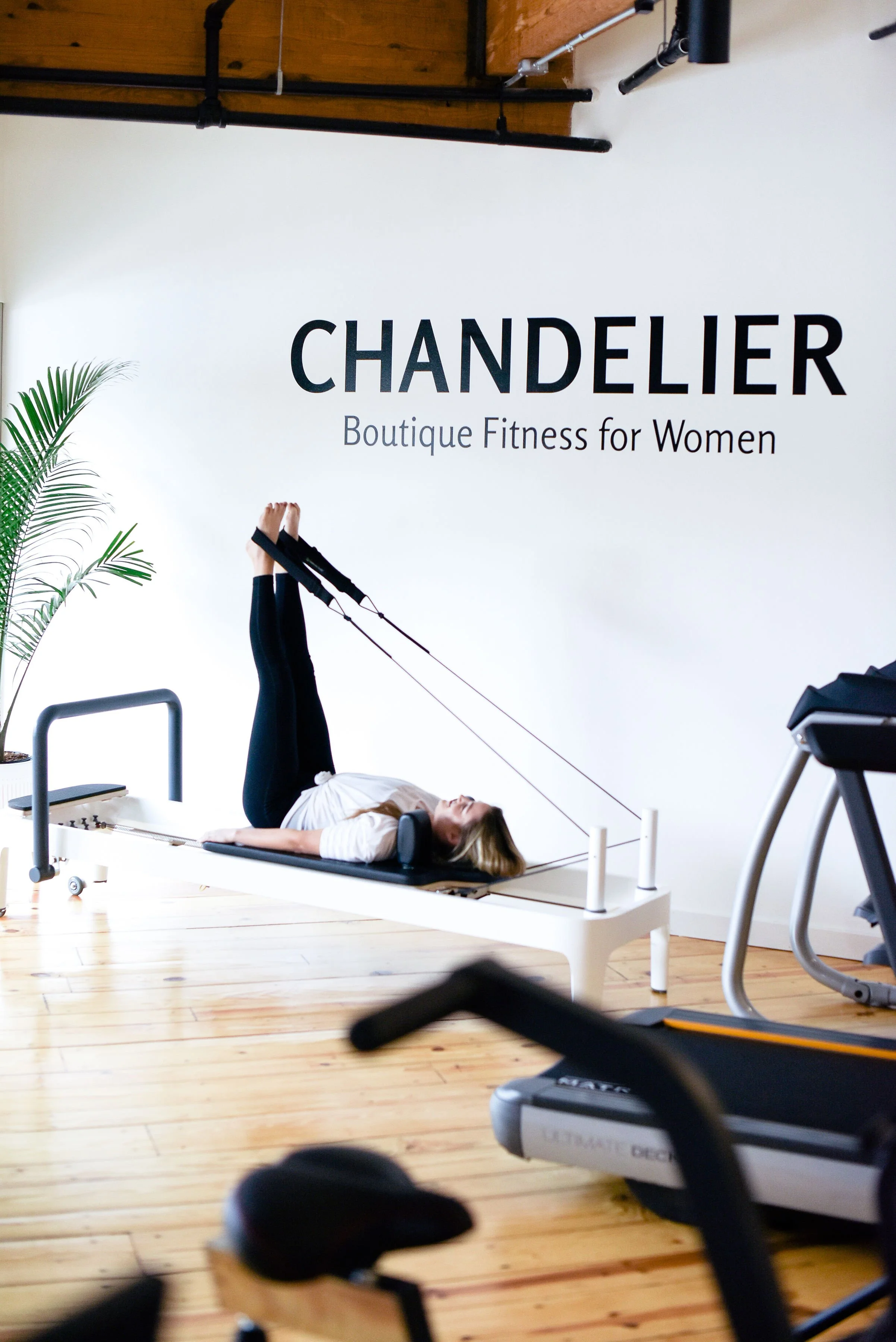 The Science of Consistency: How Structured Fitness Programs Deliver Long-Term Results