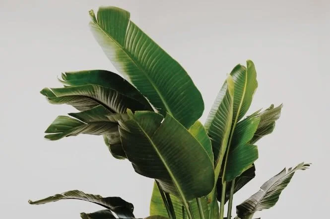 Follow these tips to enjoy a healthier holiday season as you celebrate with others 🎄
&bull; Don&rsquo;t skip meals
Skipping a meal with the goal of saving calories prior to a holiday event can often backfire and lead to overeating.
&bull; Eat until 