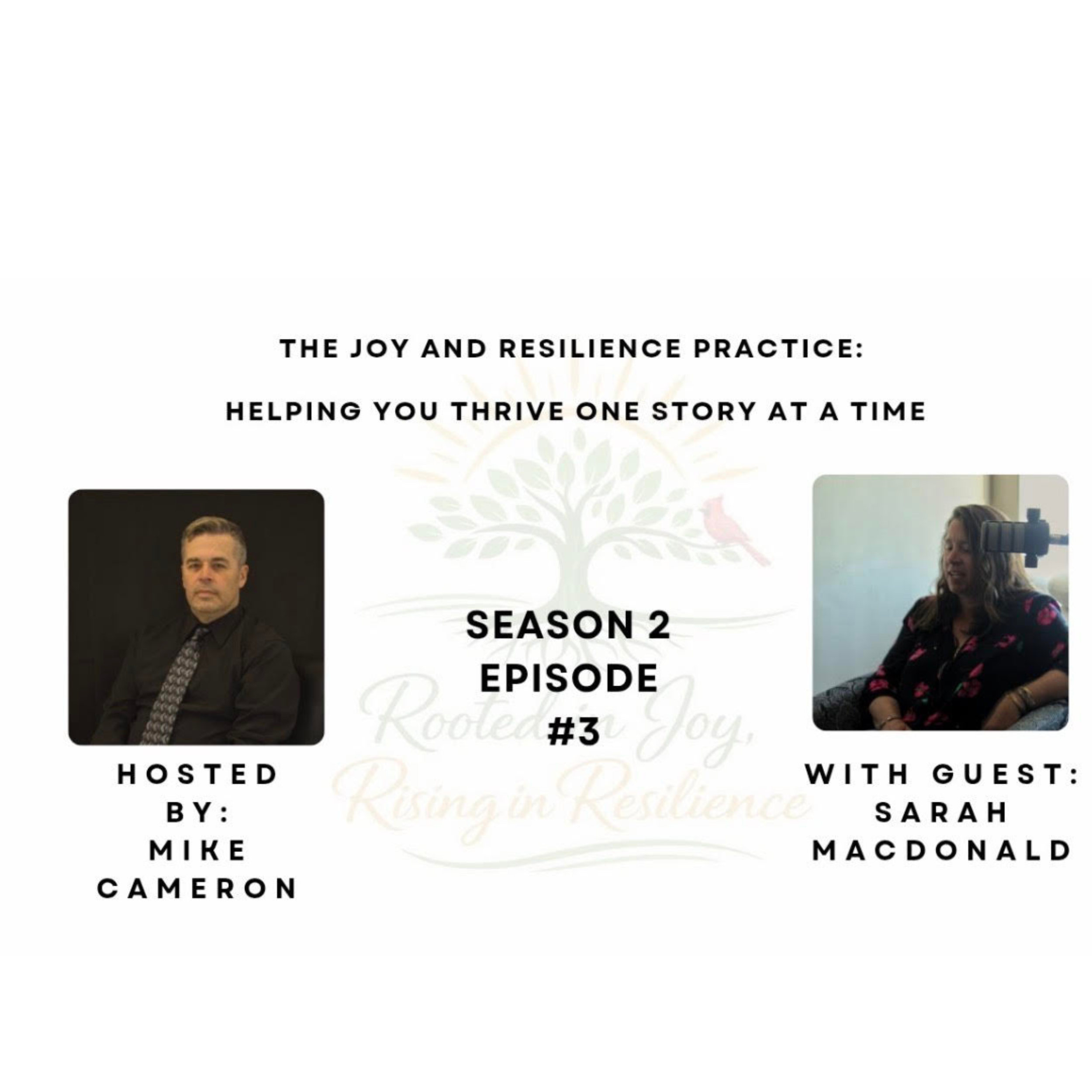 Season 2, episode 3 box.png