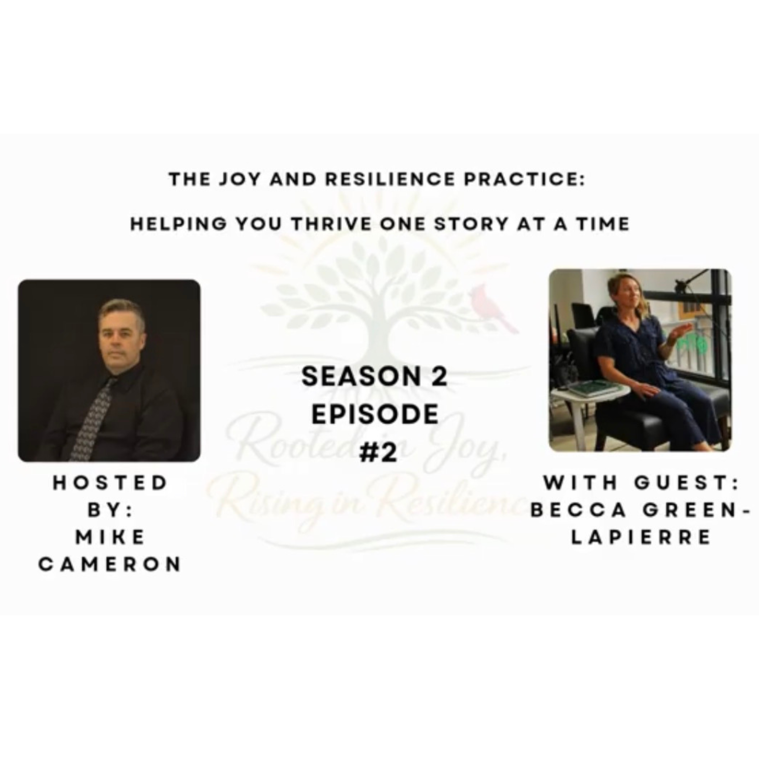 Season 2, episode 2 box.png