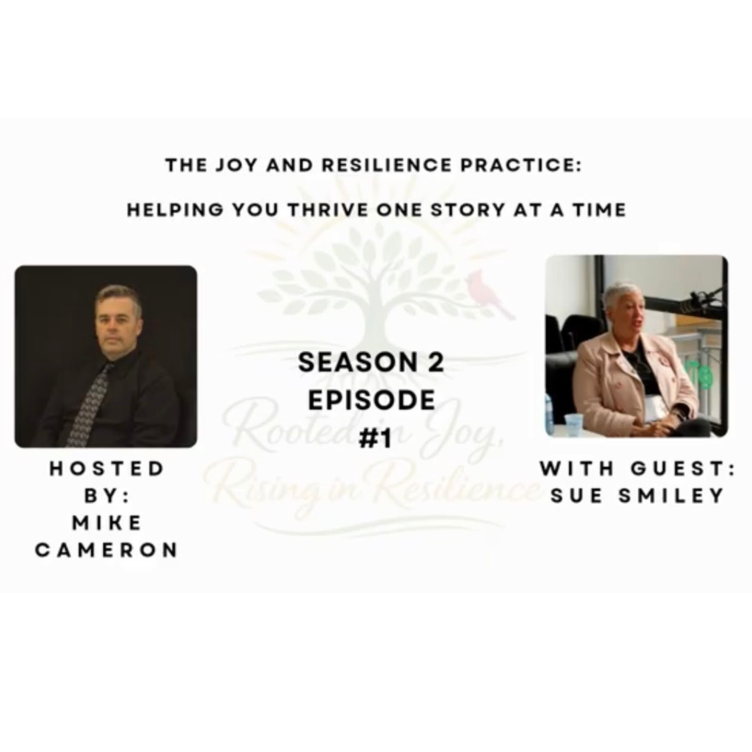 Season 2, episode 1 box.png