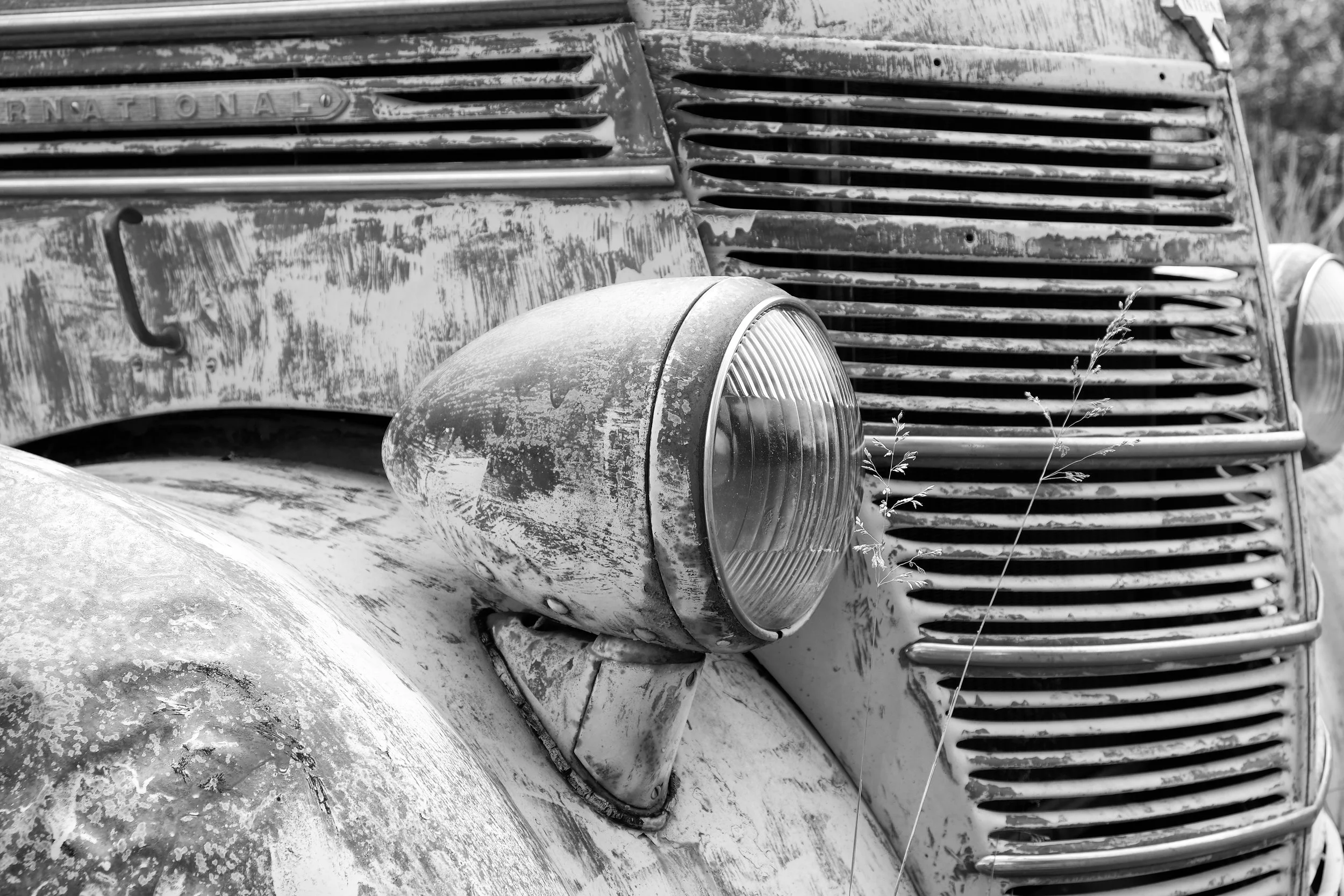 20"x30" Metal Print
$1,500