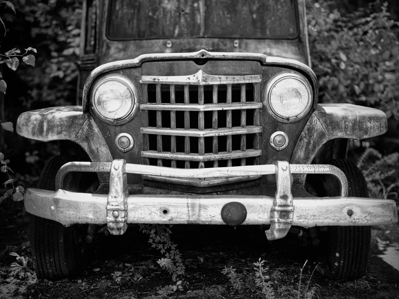 20"x30" Metal Print
$1,500