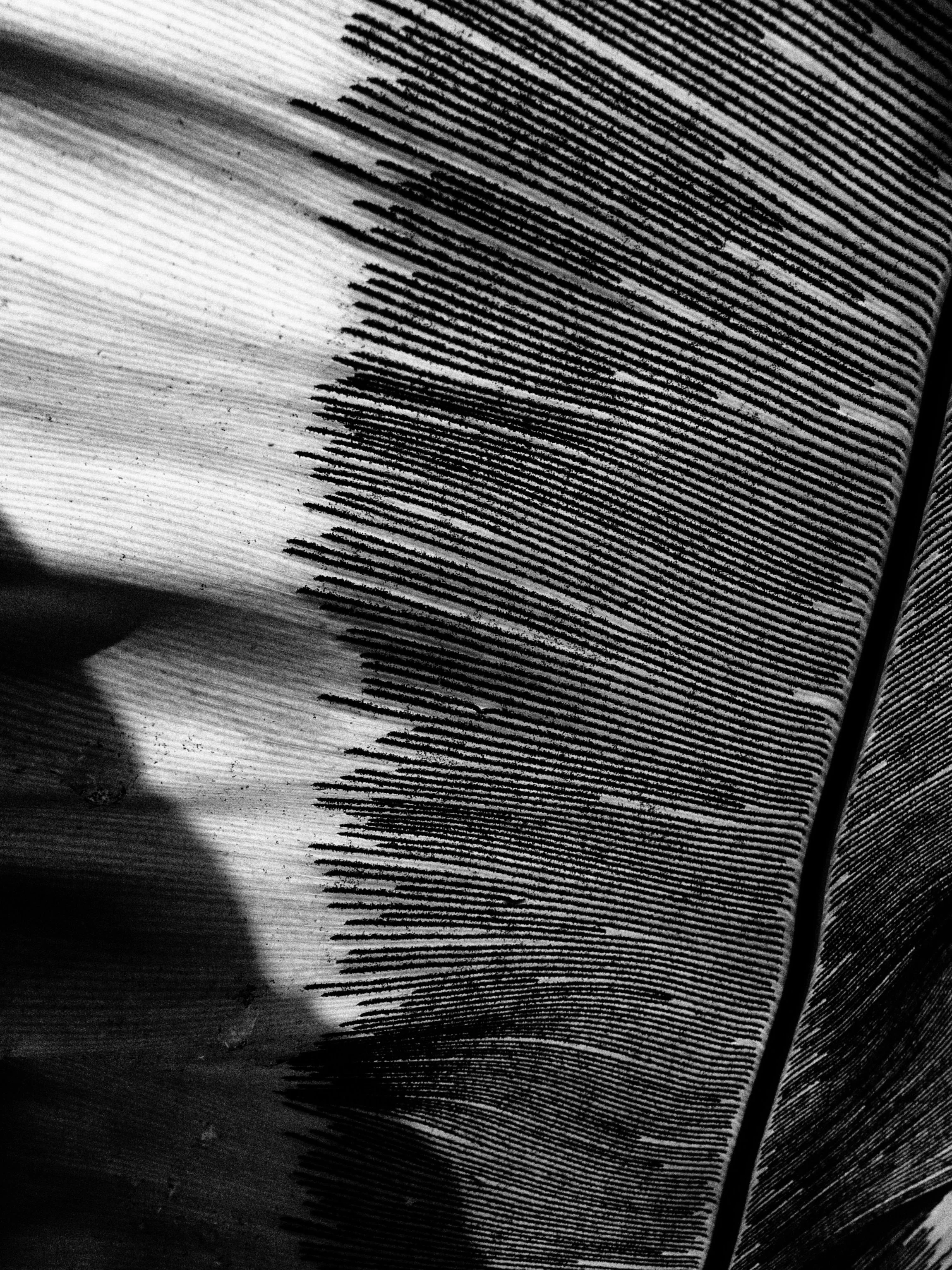 22"x38" Metal Print
$2,200