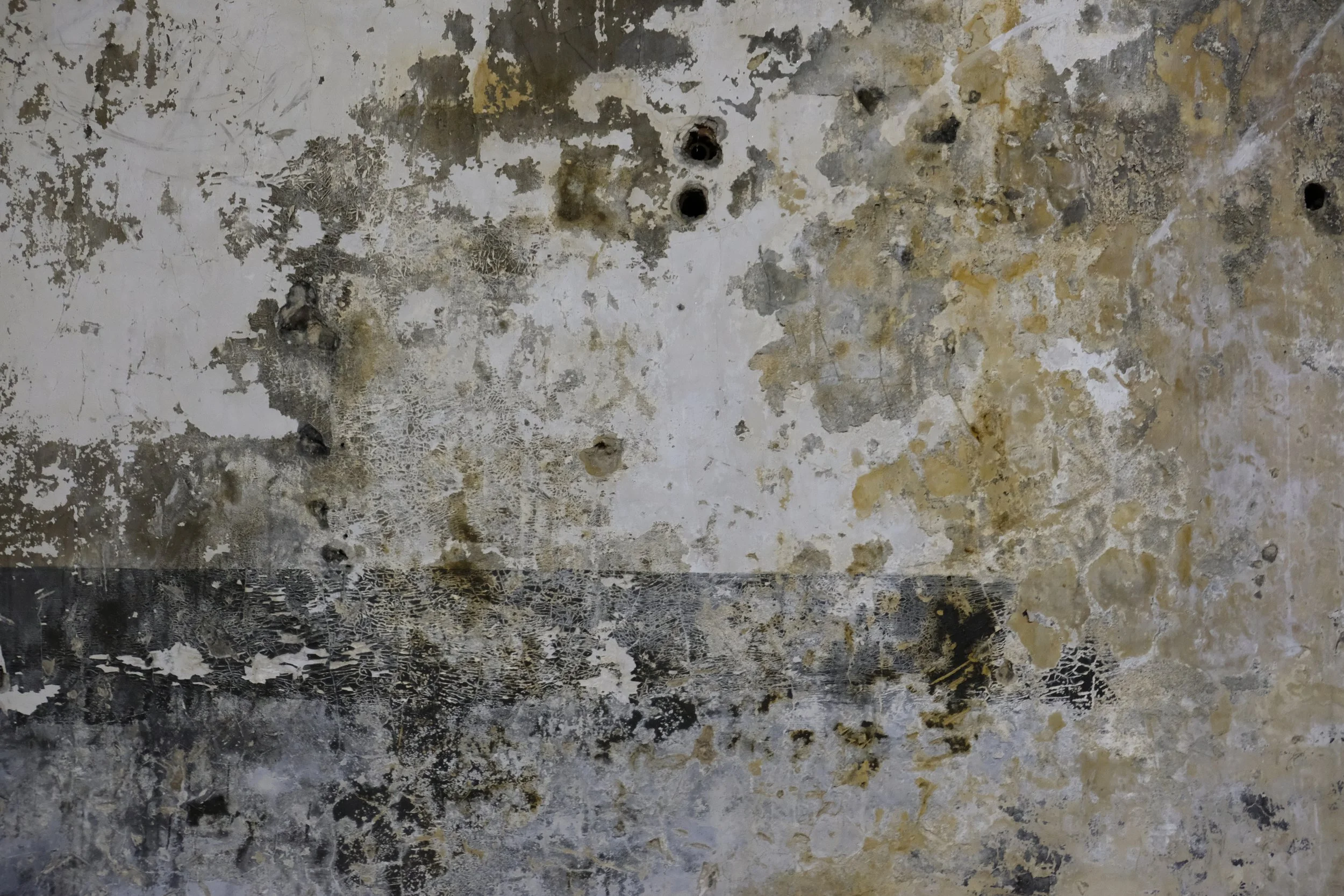 20"x30" Metal Print
$1,500