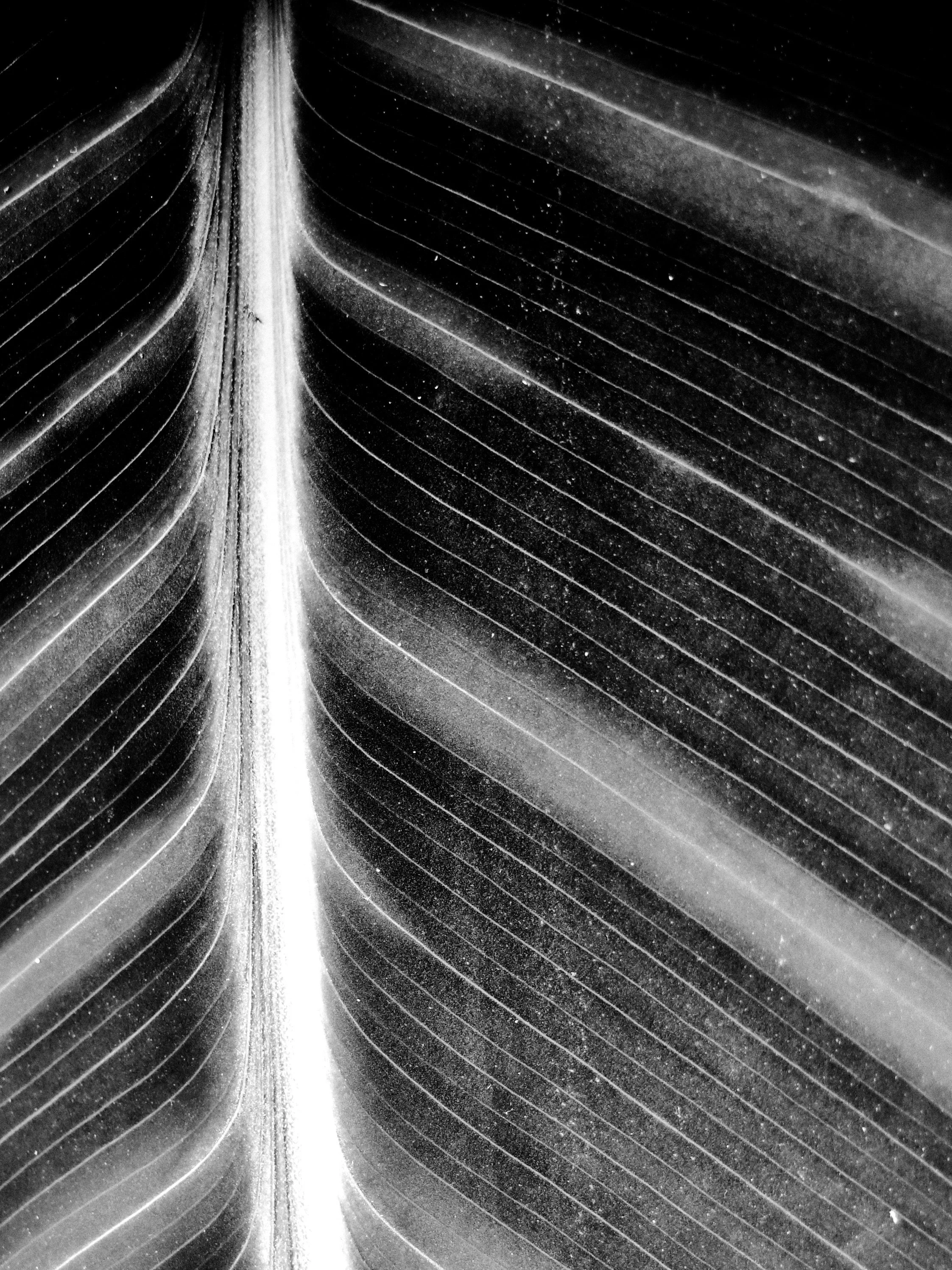 22"x38" Metal Print
$2,200