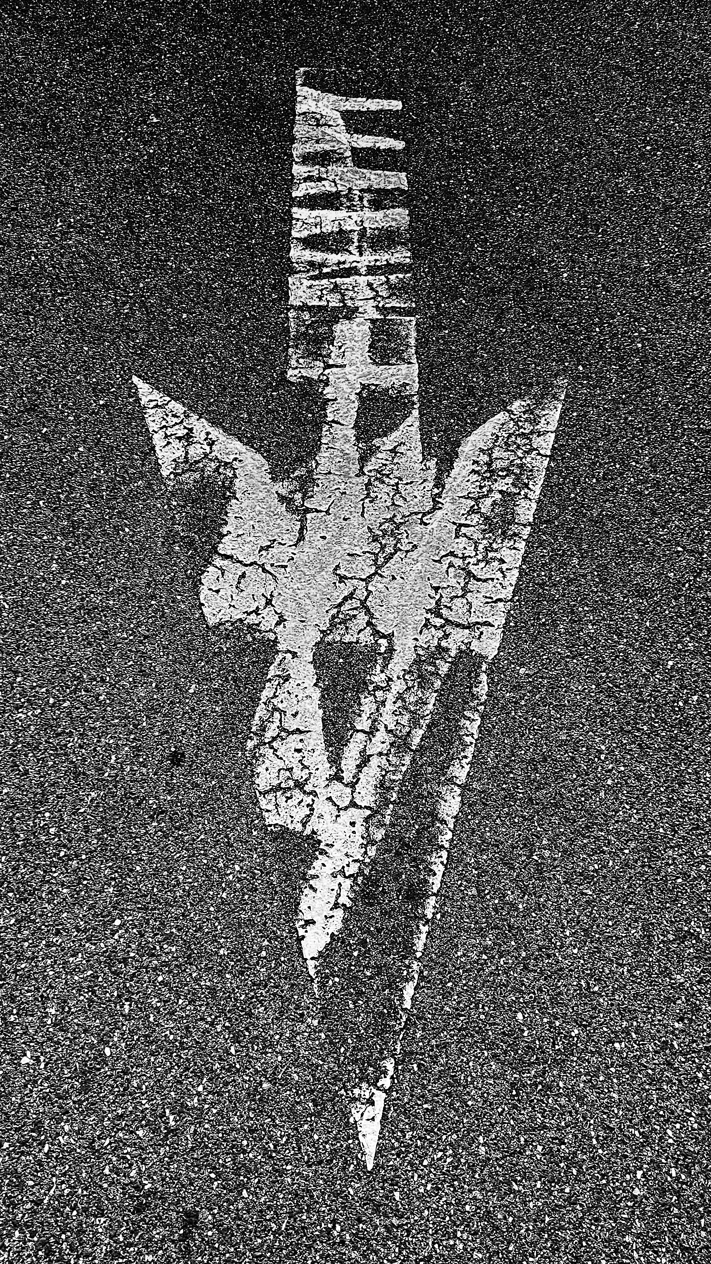 24'"x36" Metal Print
$1,500