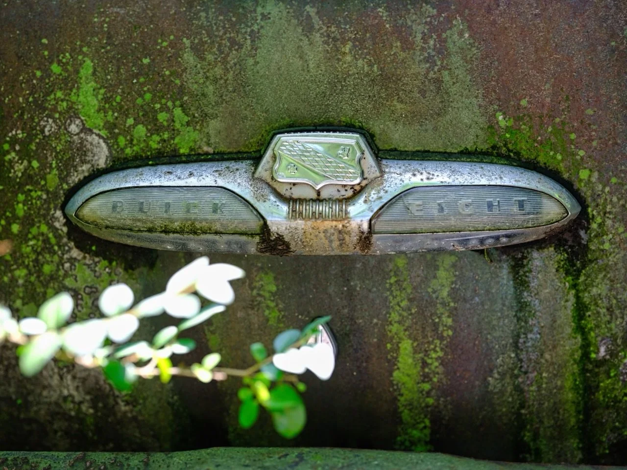 20"x30" Metal Print
$1,500