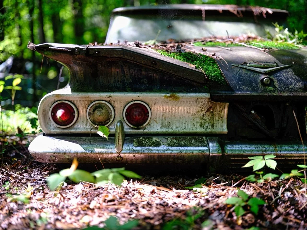 20"x30" Metal Print
$1,500