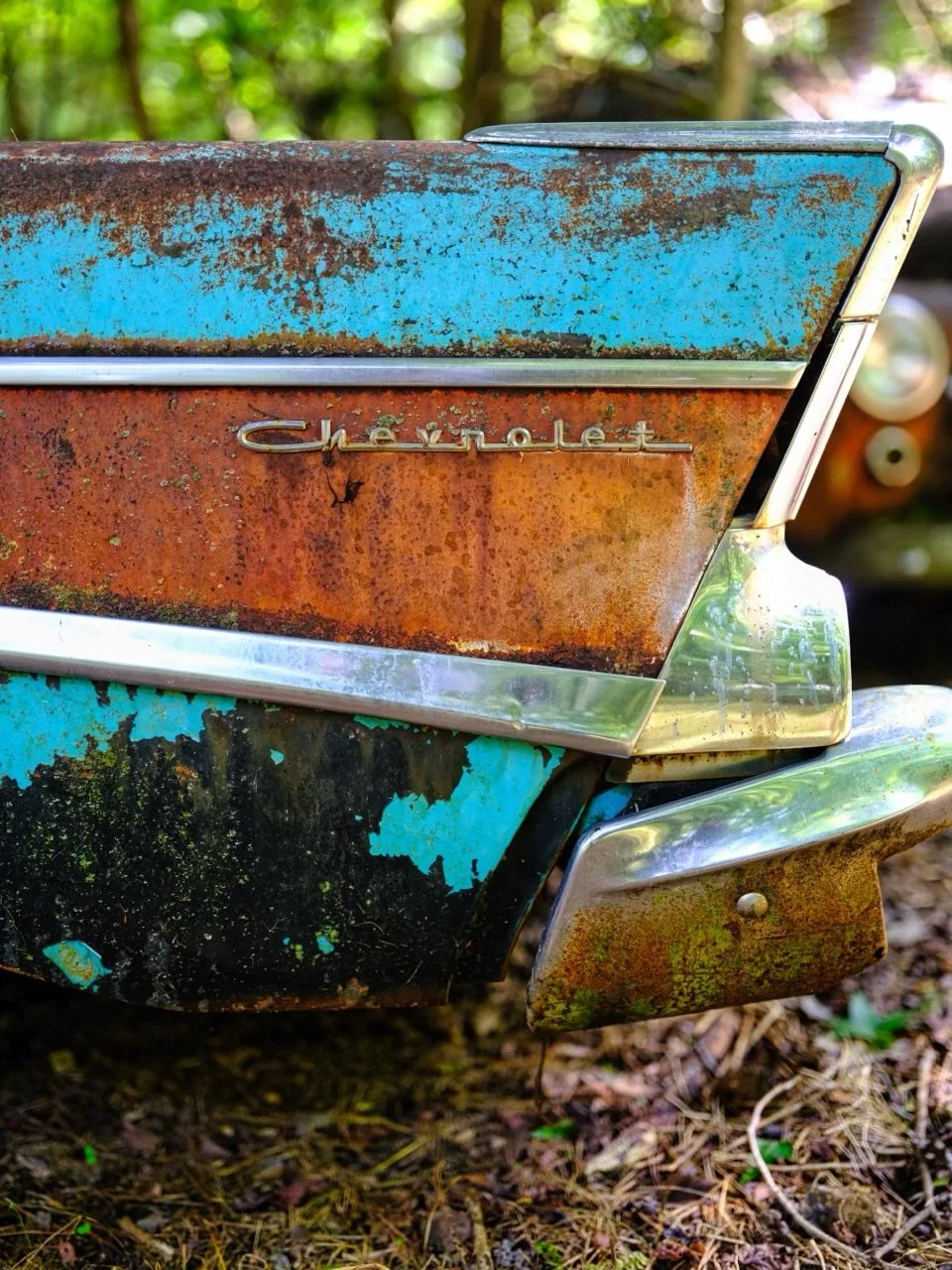 20"x30" Metal Print
$1,500