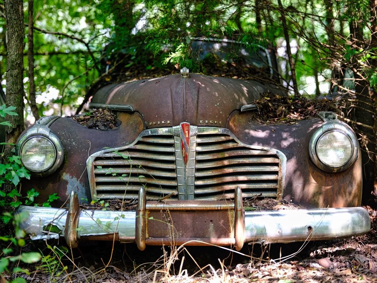 20"x30" Metal Print
$1,500