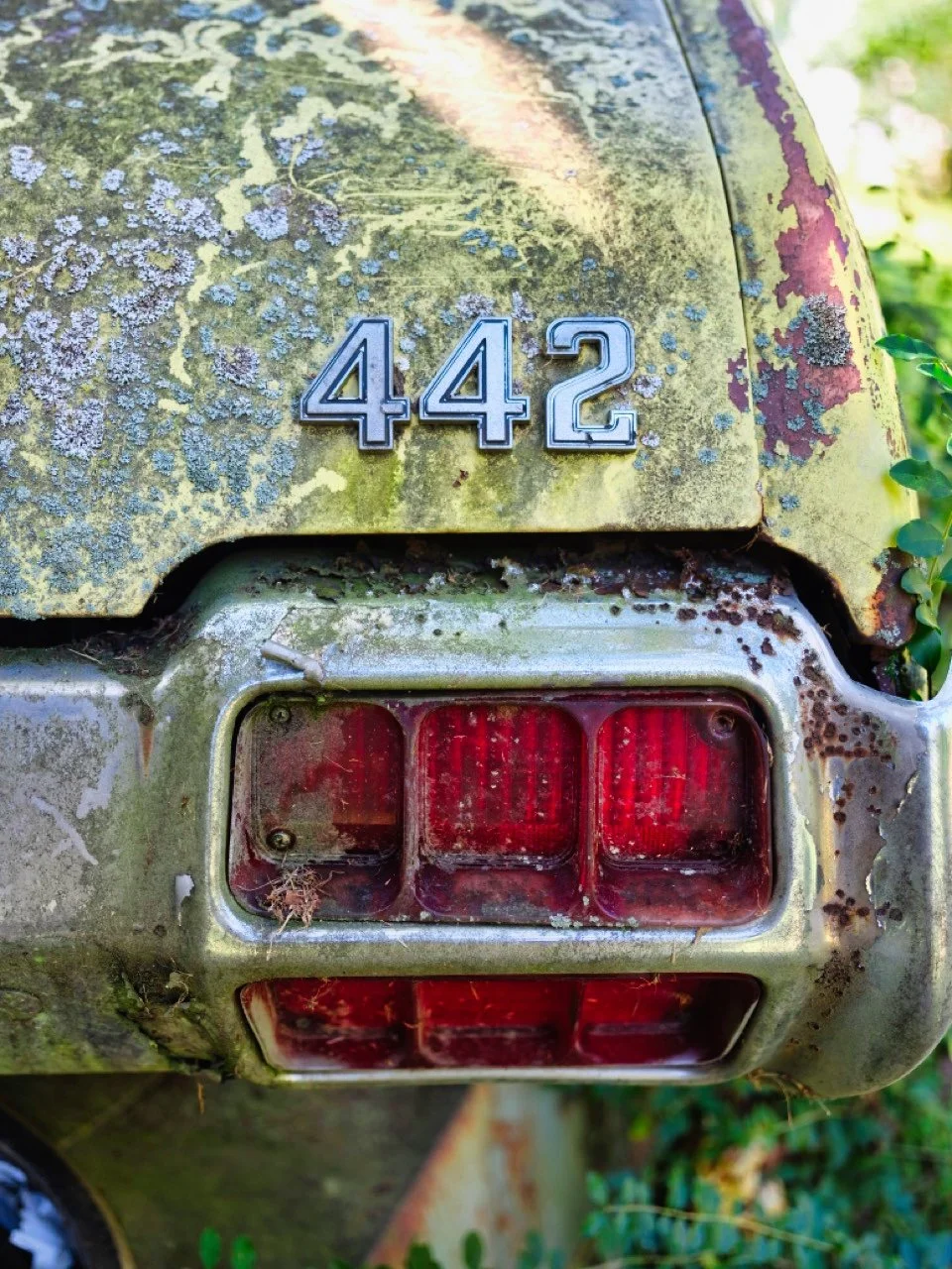 20"x30" Metal Print
$1,500