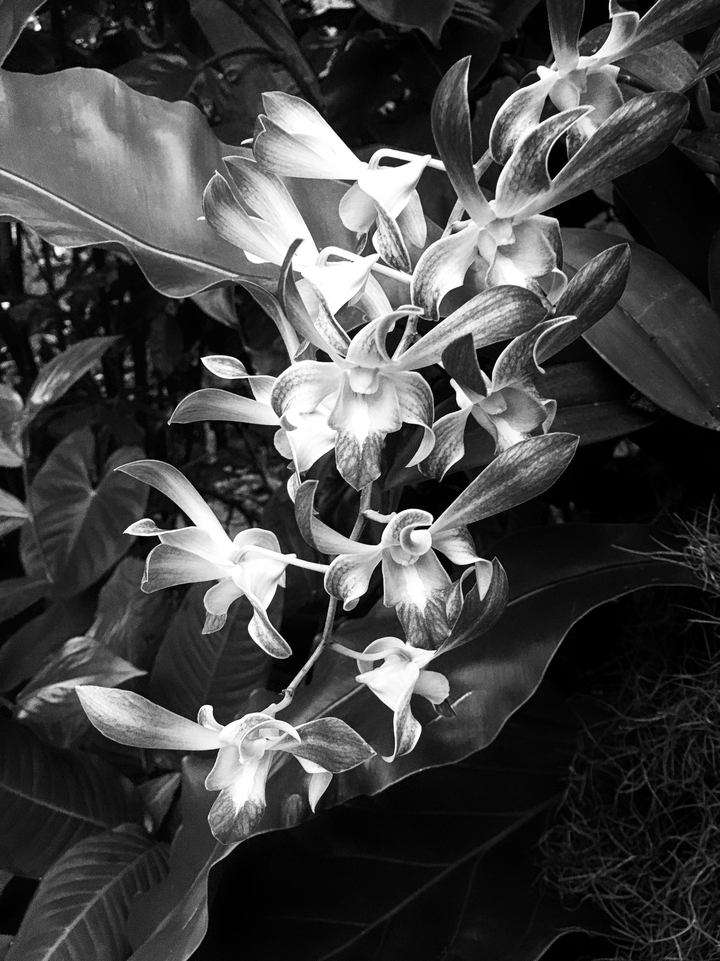 20"x30" Metal Print
$1,500