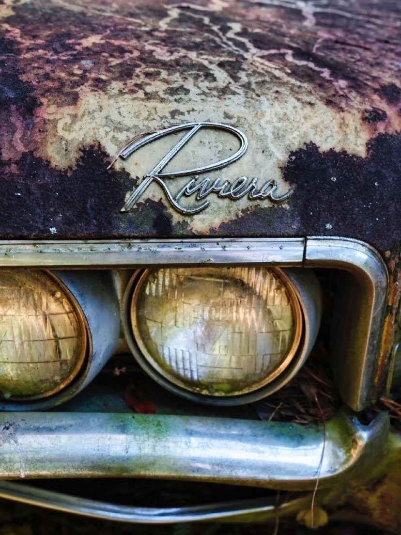 20"x30" Metal Print
$1,500