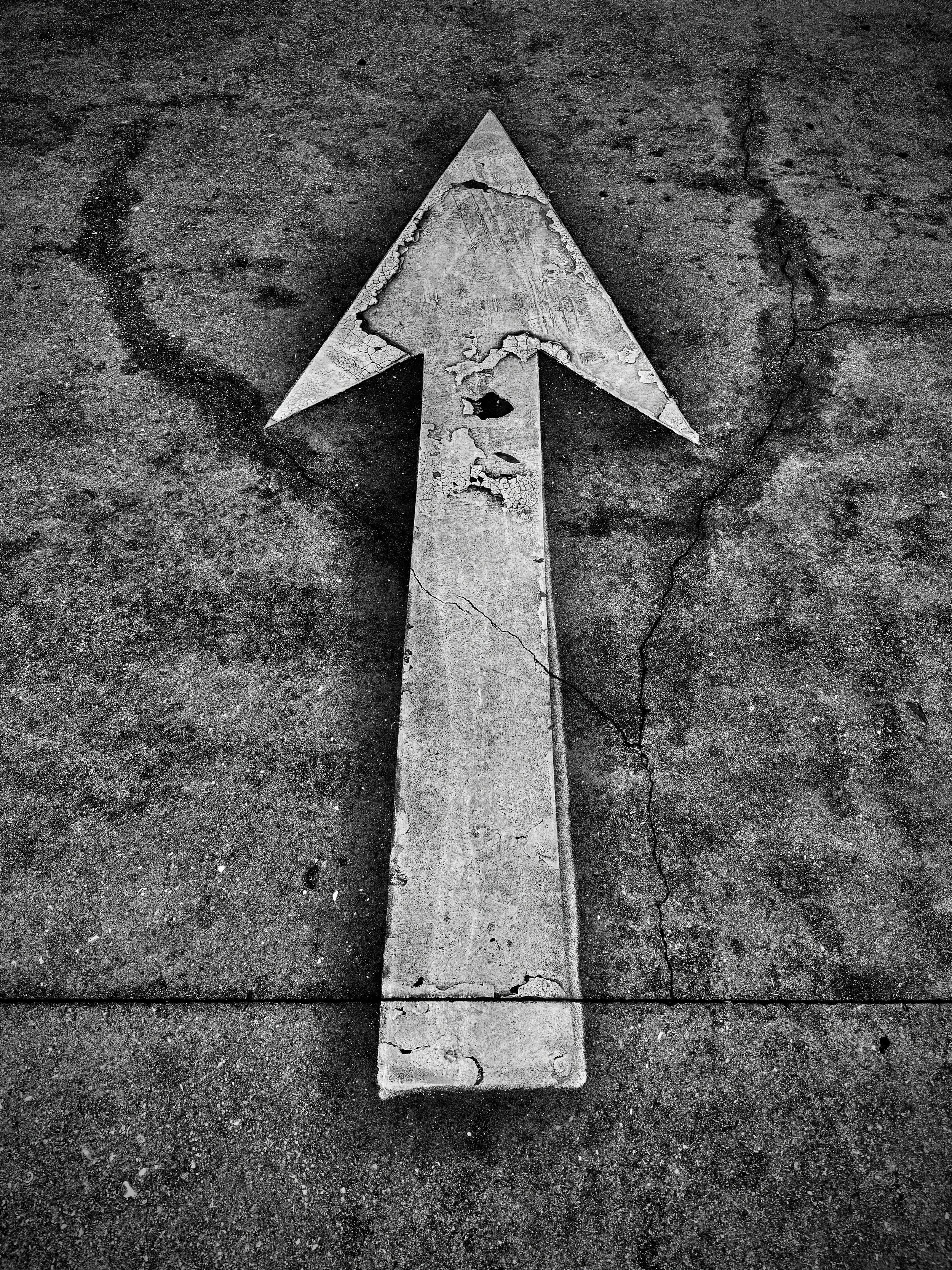 24'"x36" Metal Print
$1,500