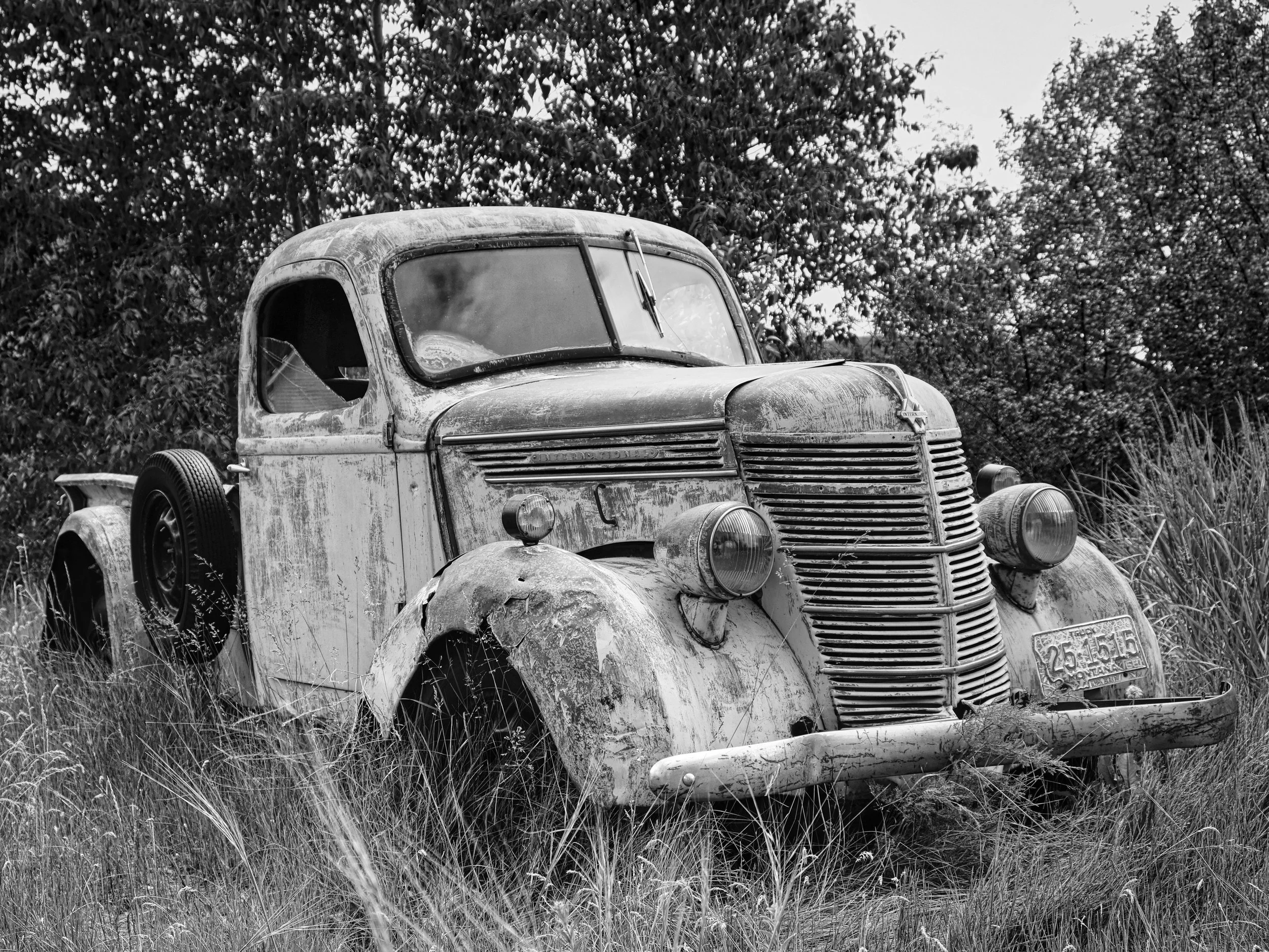 20"x30" Metal Print
$1,500