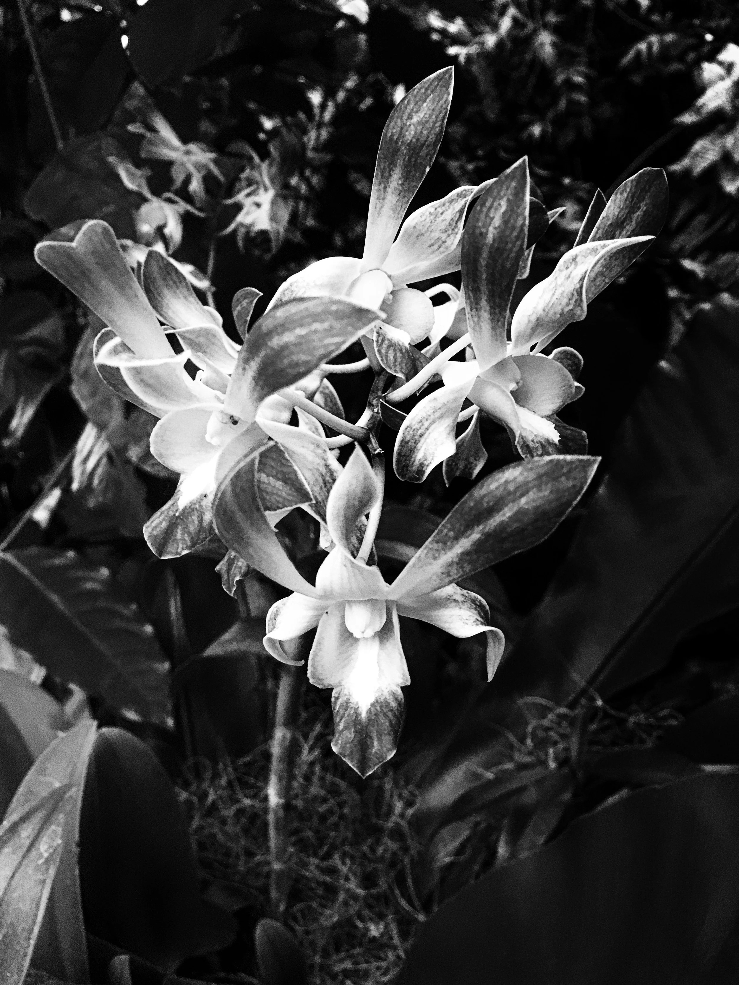 20"x30" Metal Print
$1,500