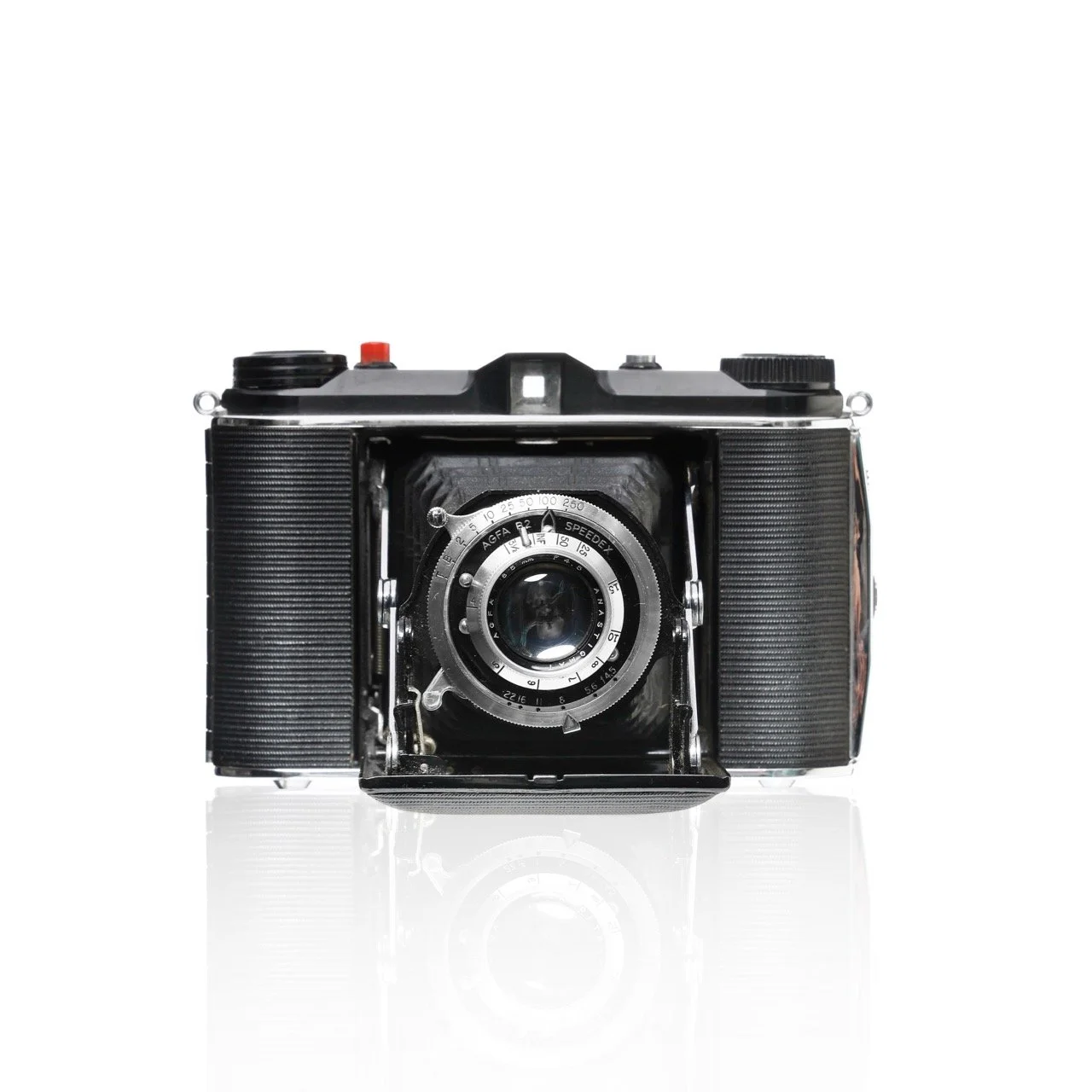 20"x20" Metal Print
$1,500