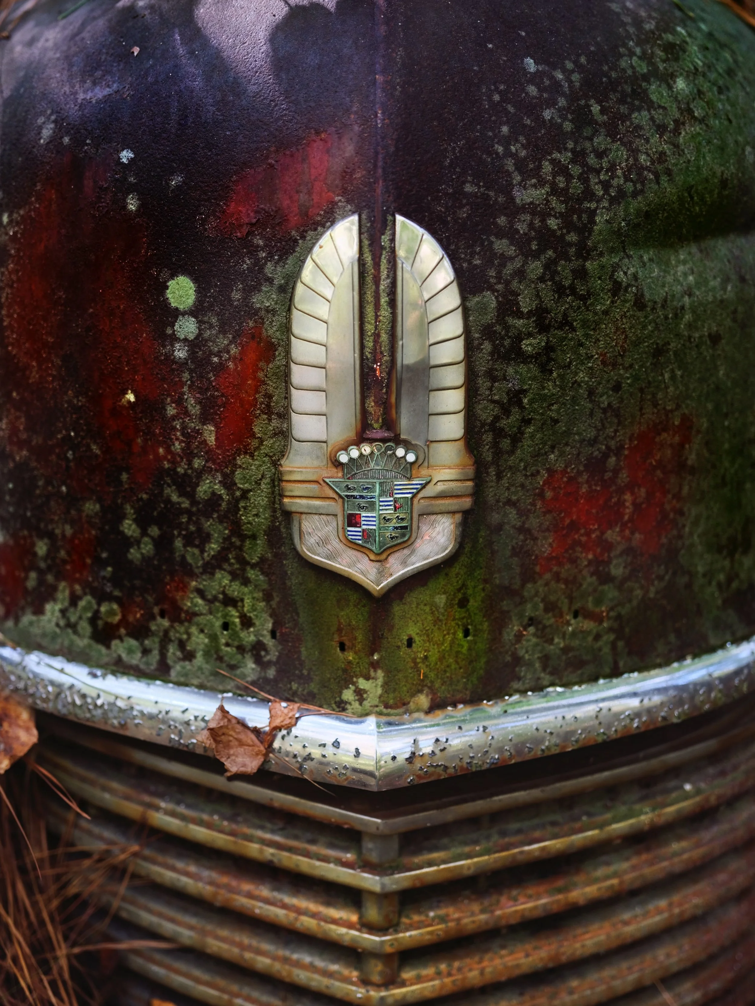 20"x30" Metal Print
$1,500