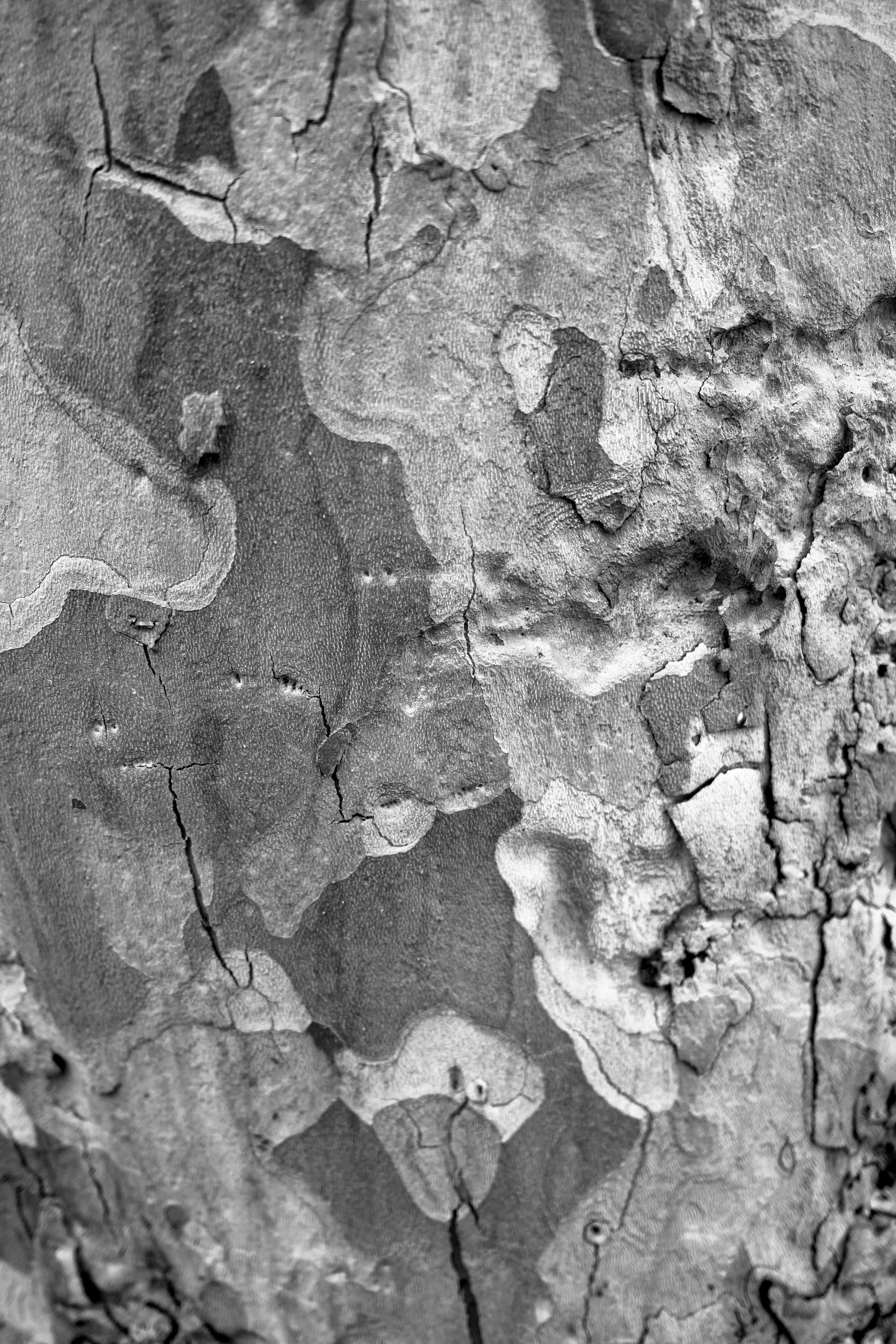 22"x38" Metal Print
$2,200