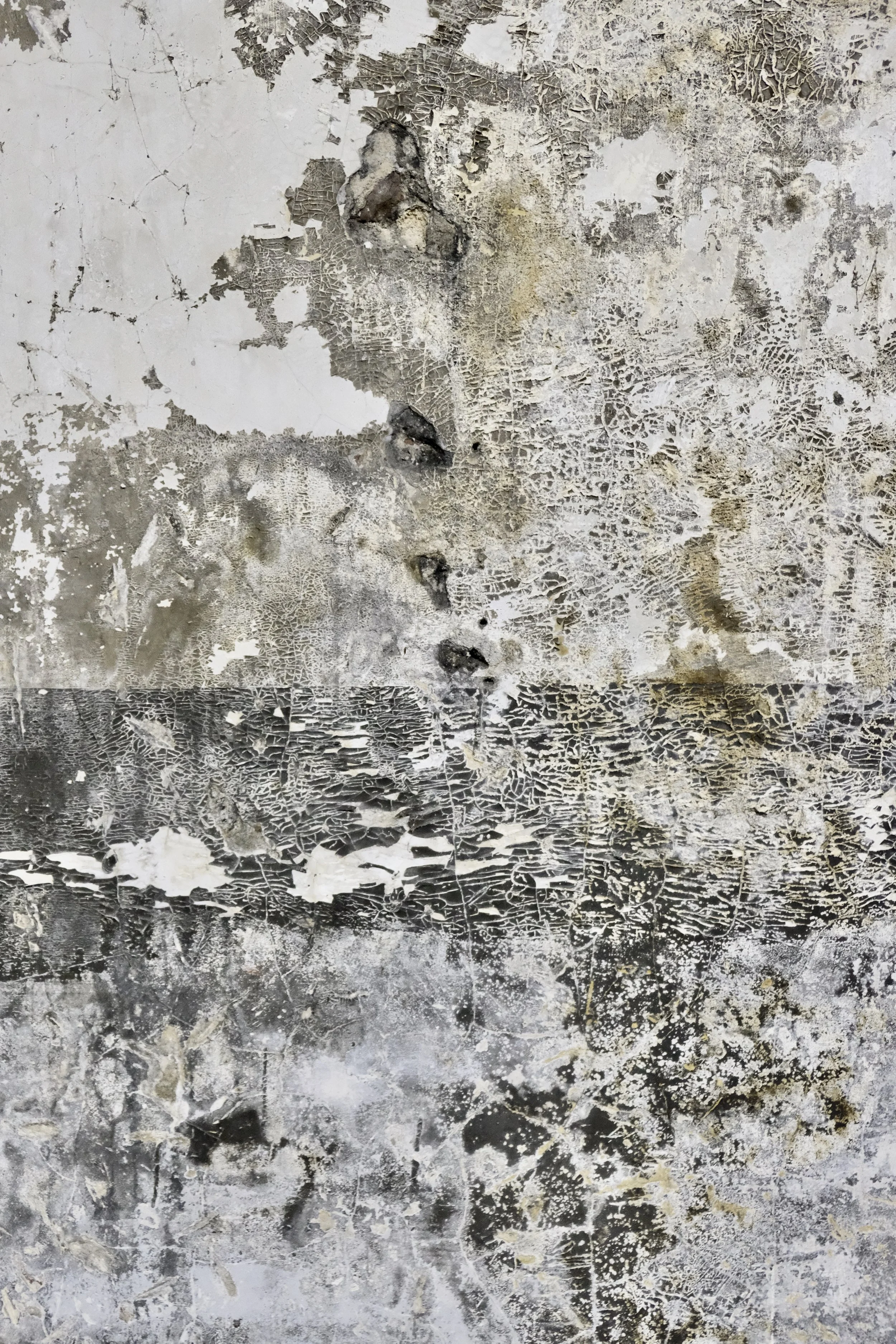 20"x30" Metal Print
$1,500