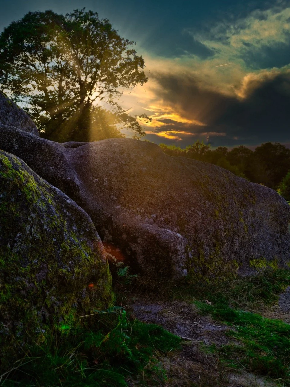 20"x30" Metal Print
$1,200