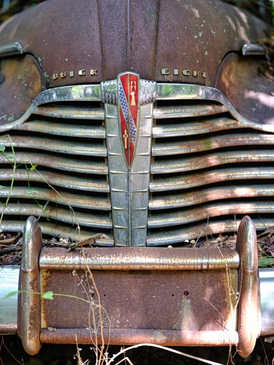 20"x30" Metal Print
$1,500