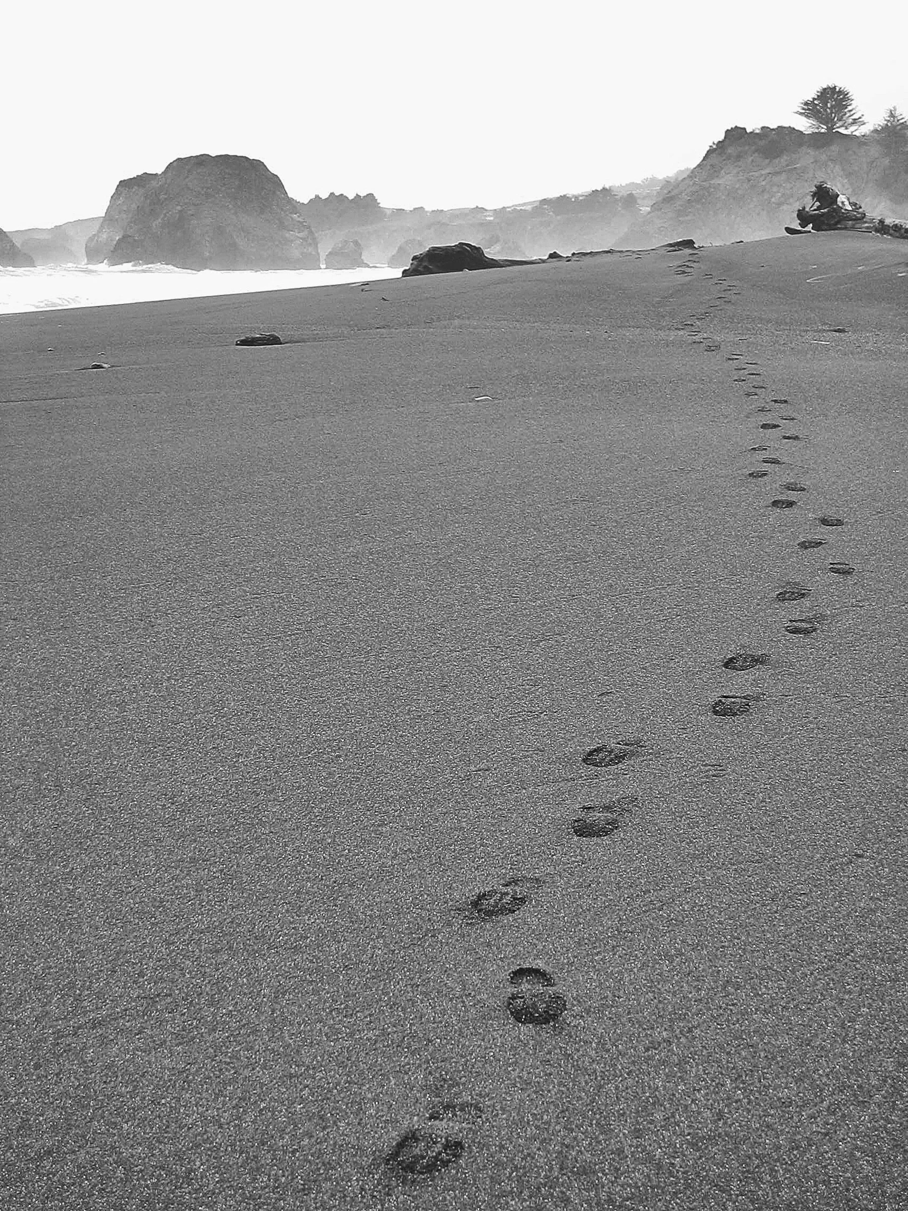 20"x30" Metal Print
$1,200