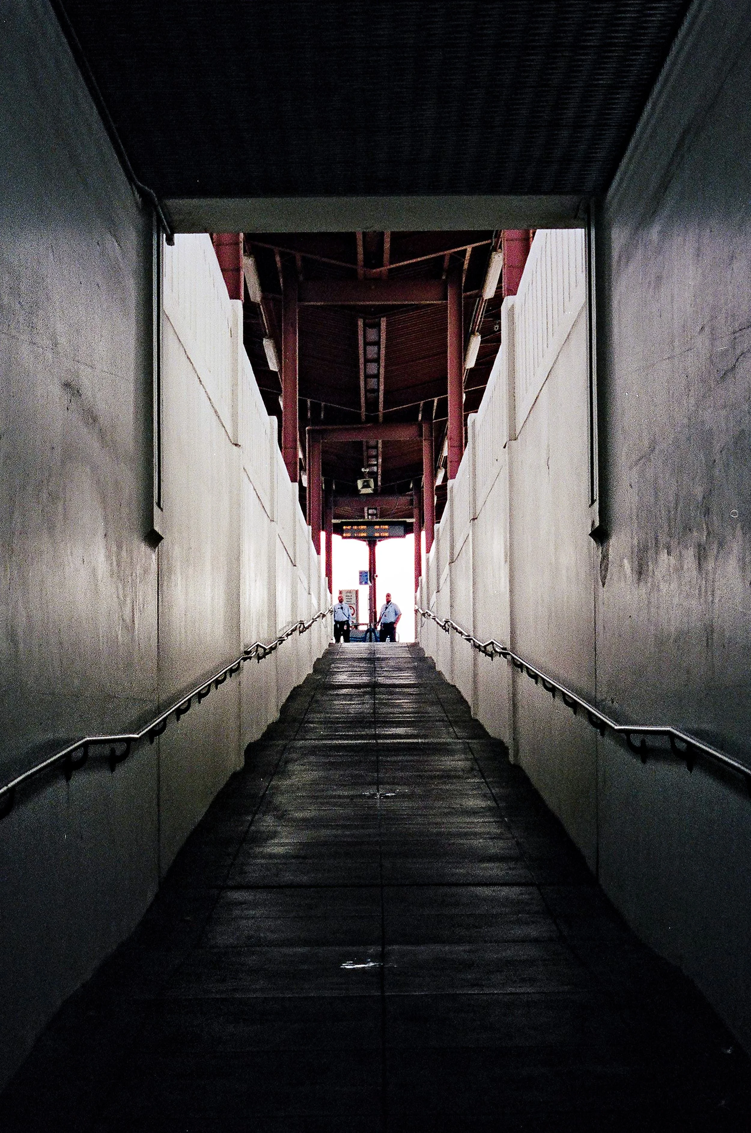59550035.jpg