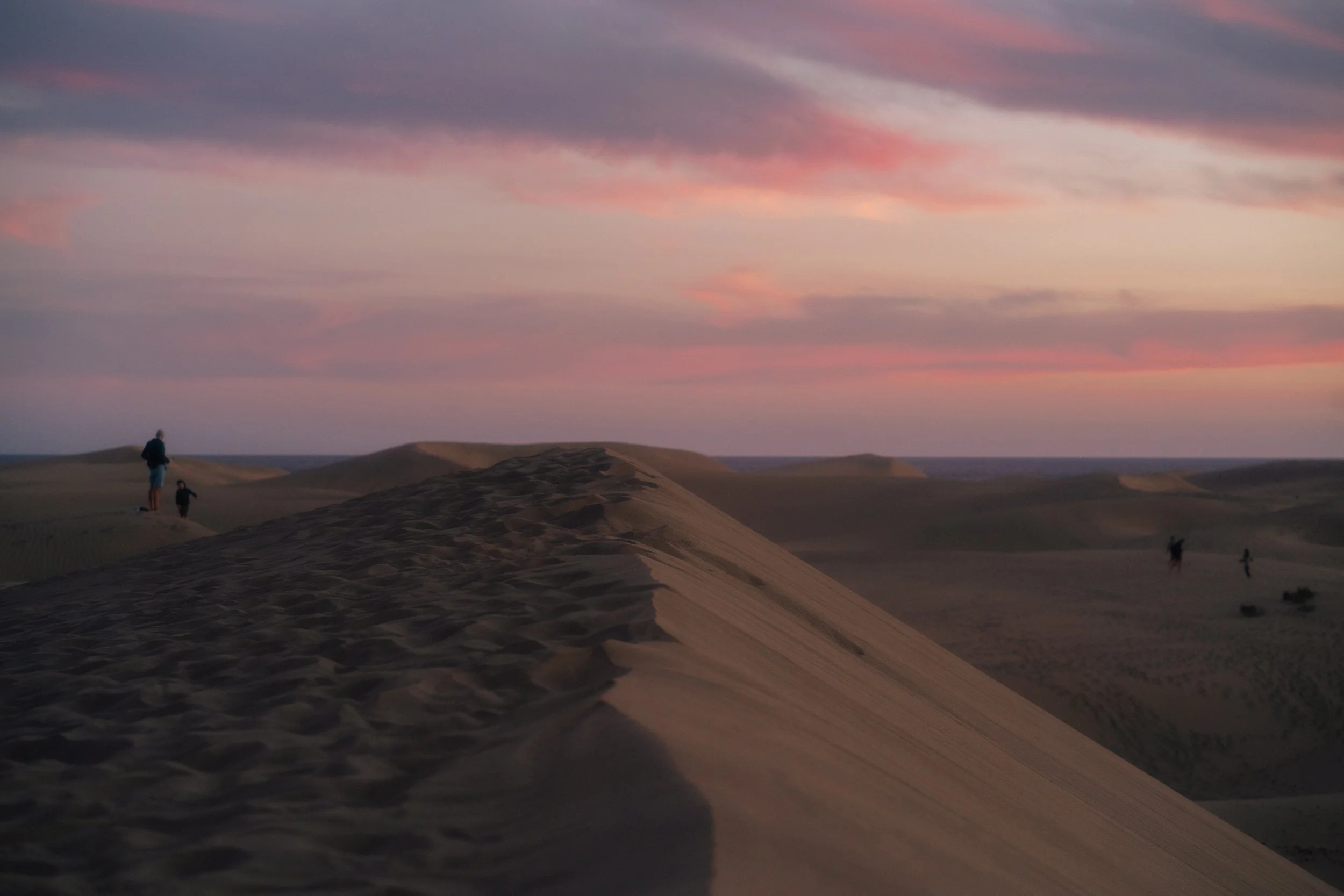 DSC09269.jpeg